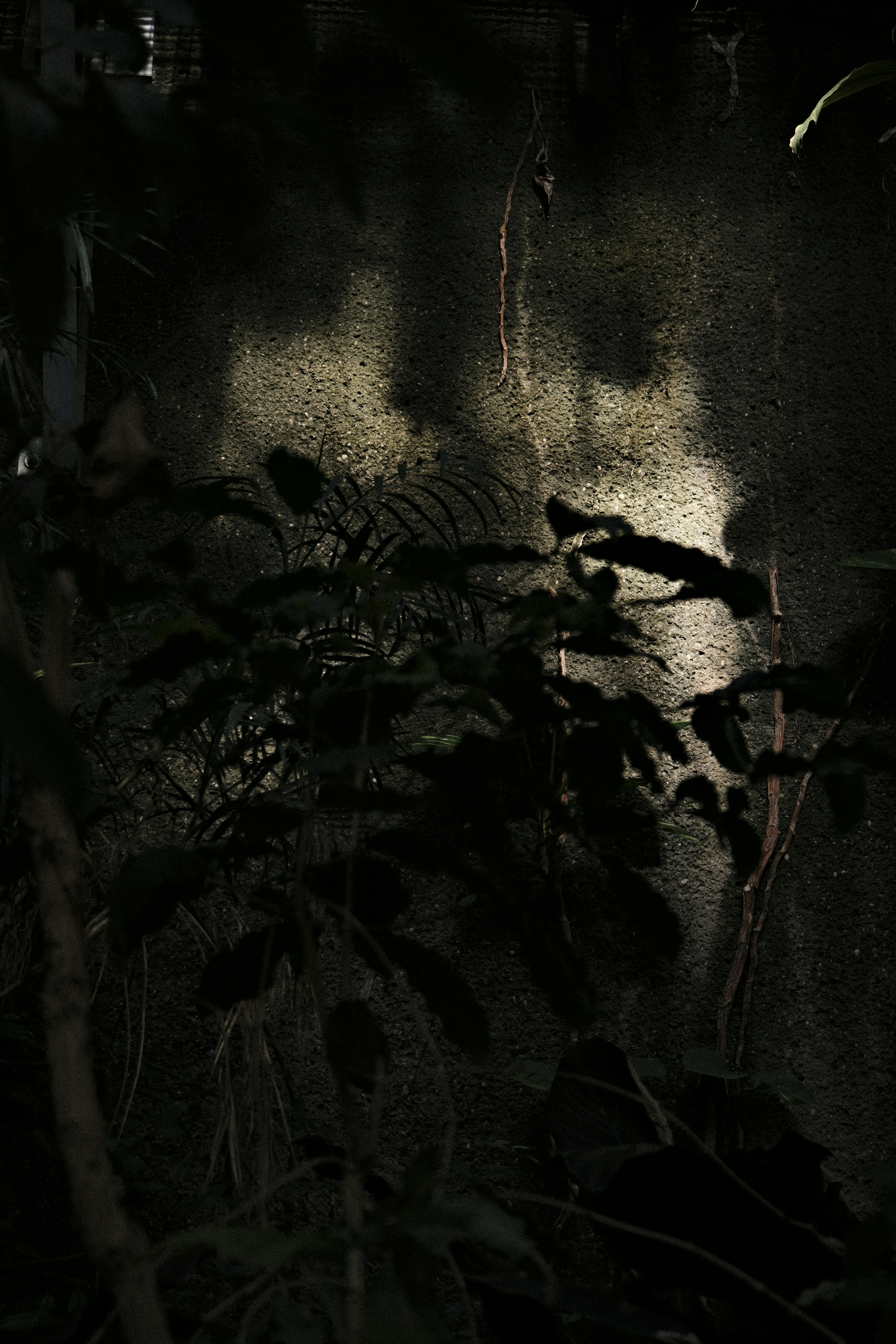 Photo by studiopizza