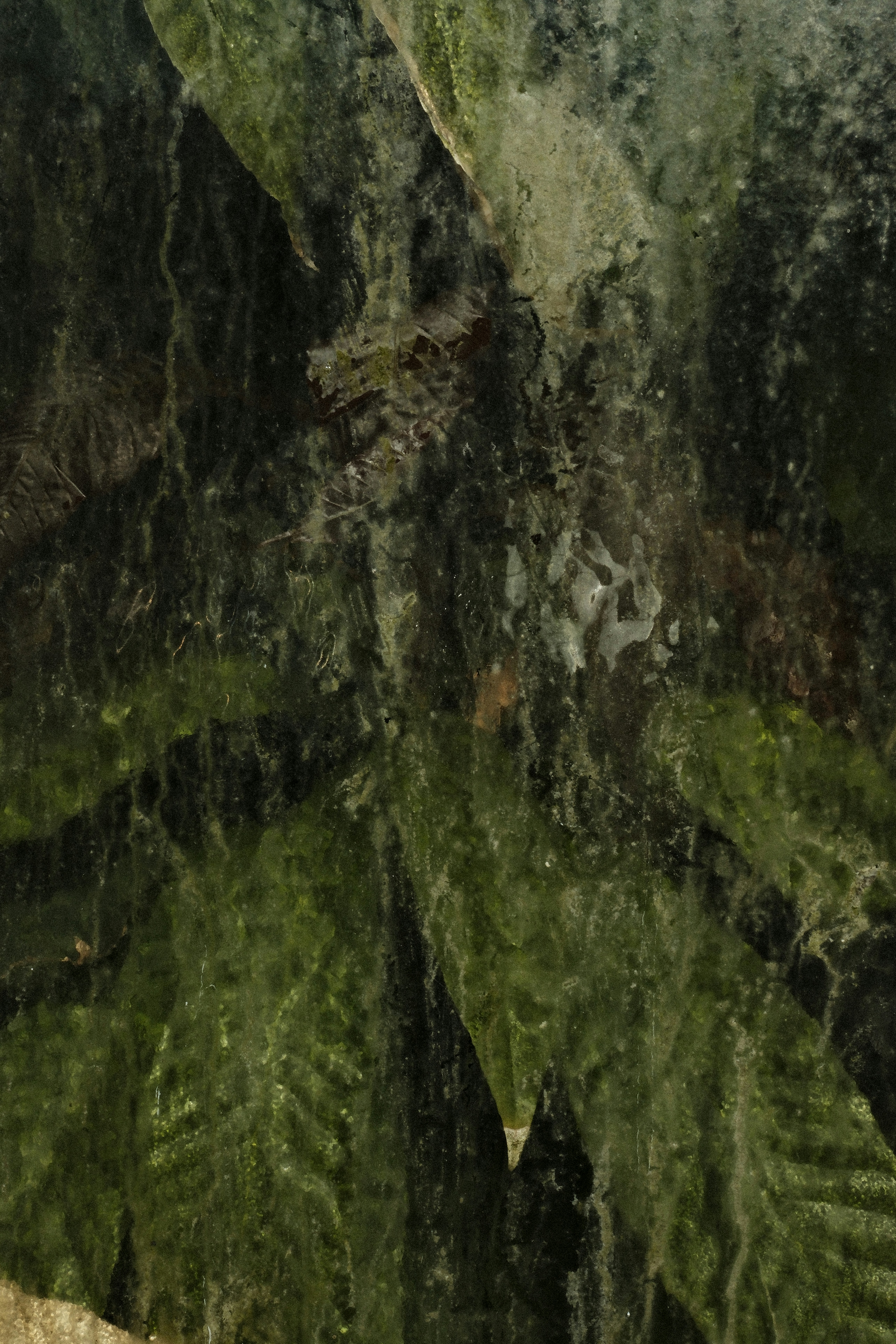 Photo by studiopizza