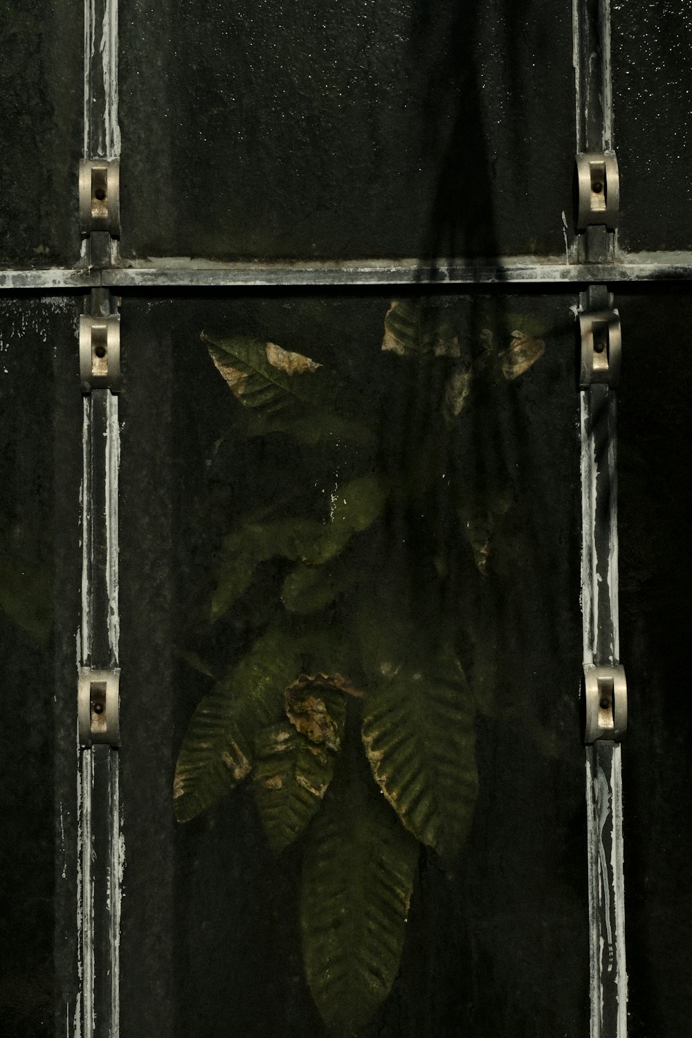 a window with a green plant in it
