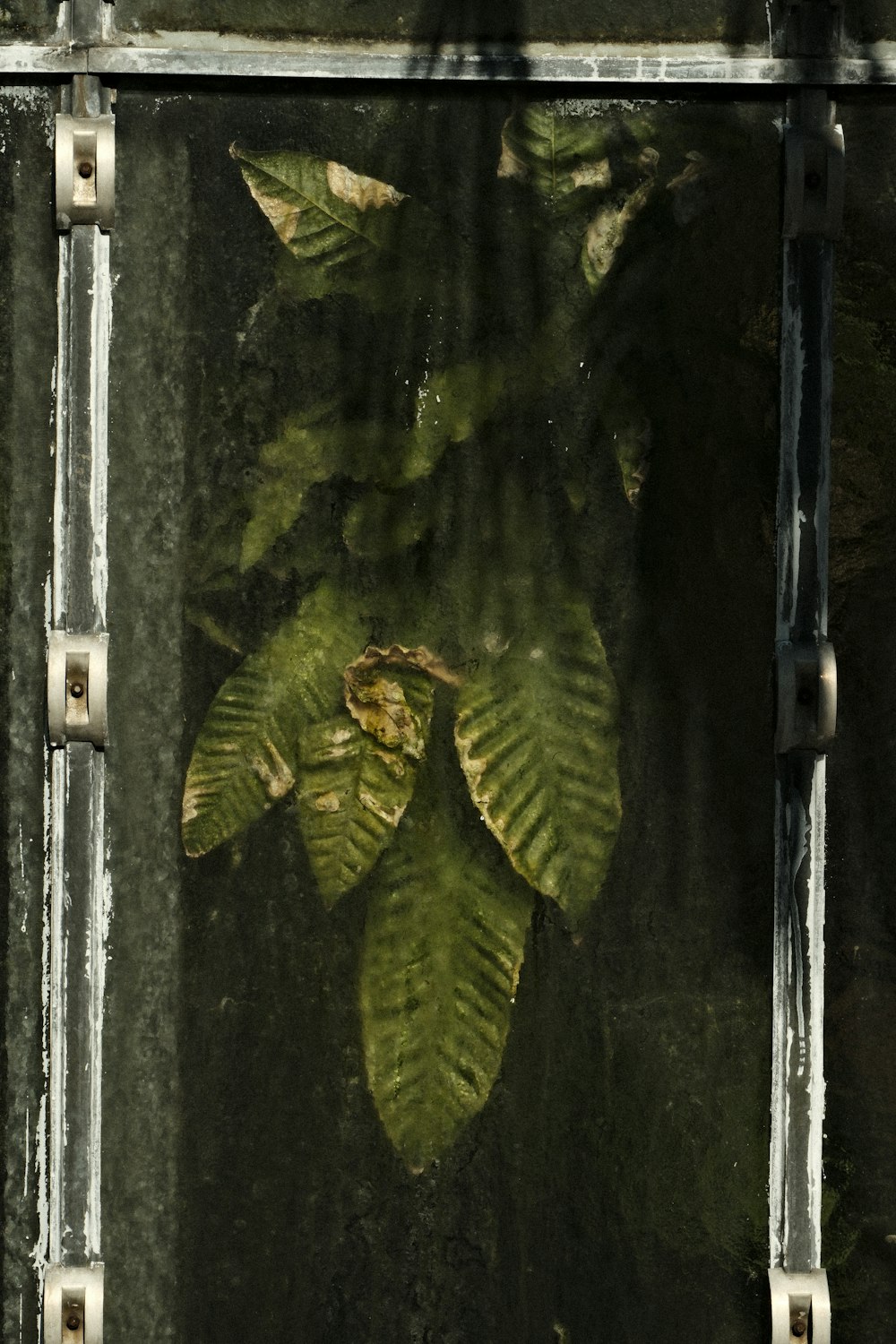 a window with a green plant inside of it