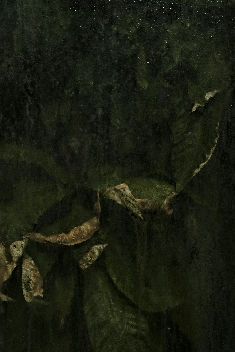 a painting of leaves on a wall