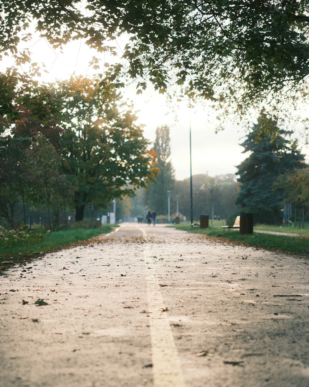 an empty road with a bench on the side of it