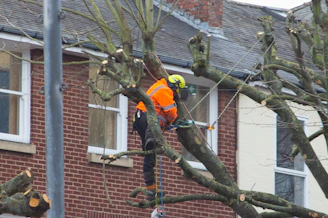 a man in an orange safety vest working on a tree