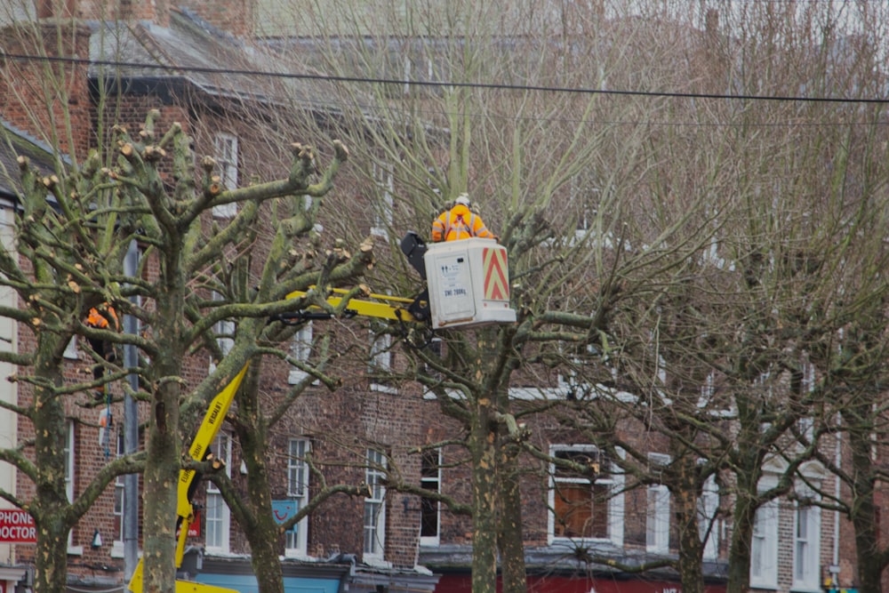 a man on a cherry picker working on a tree