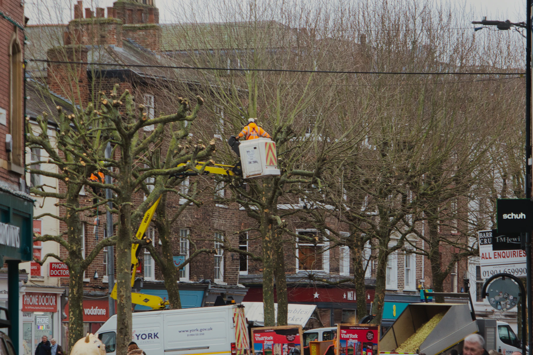 Tree service crew pruning branches along a street