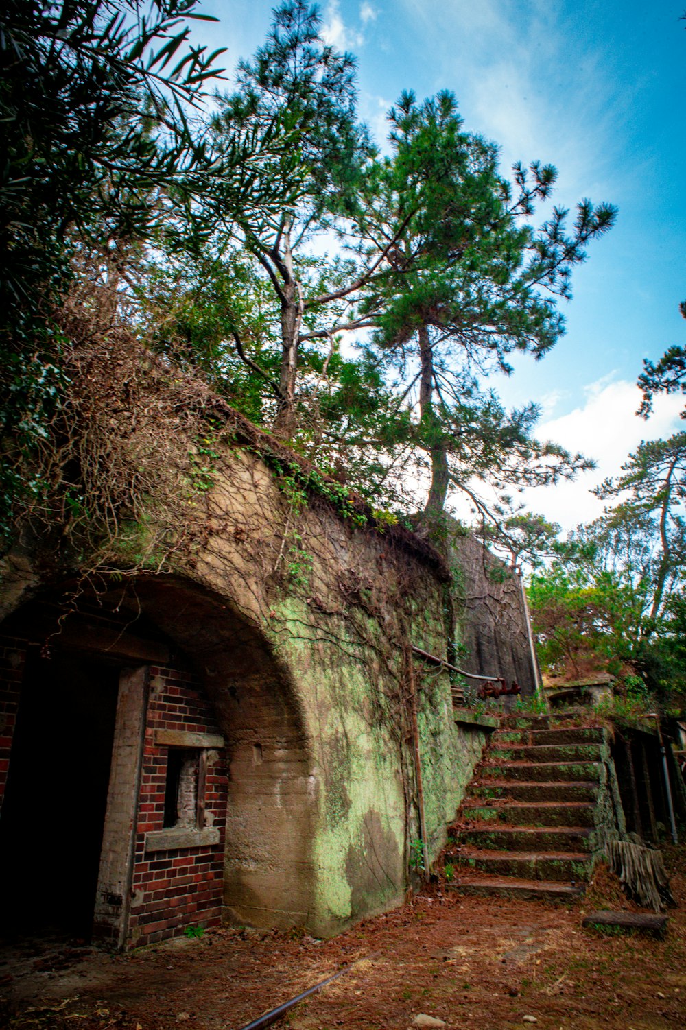 un edificio de piedra con un árbol que crece en él