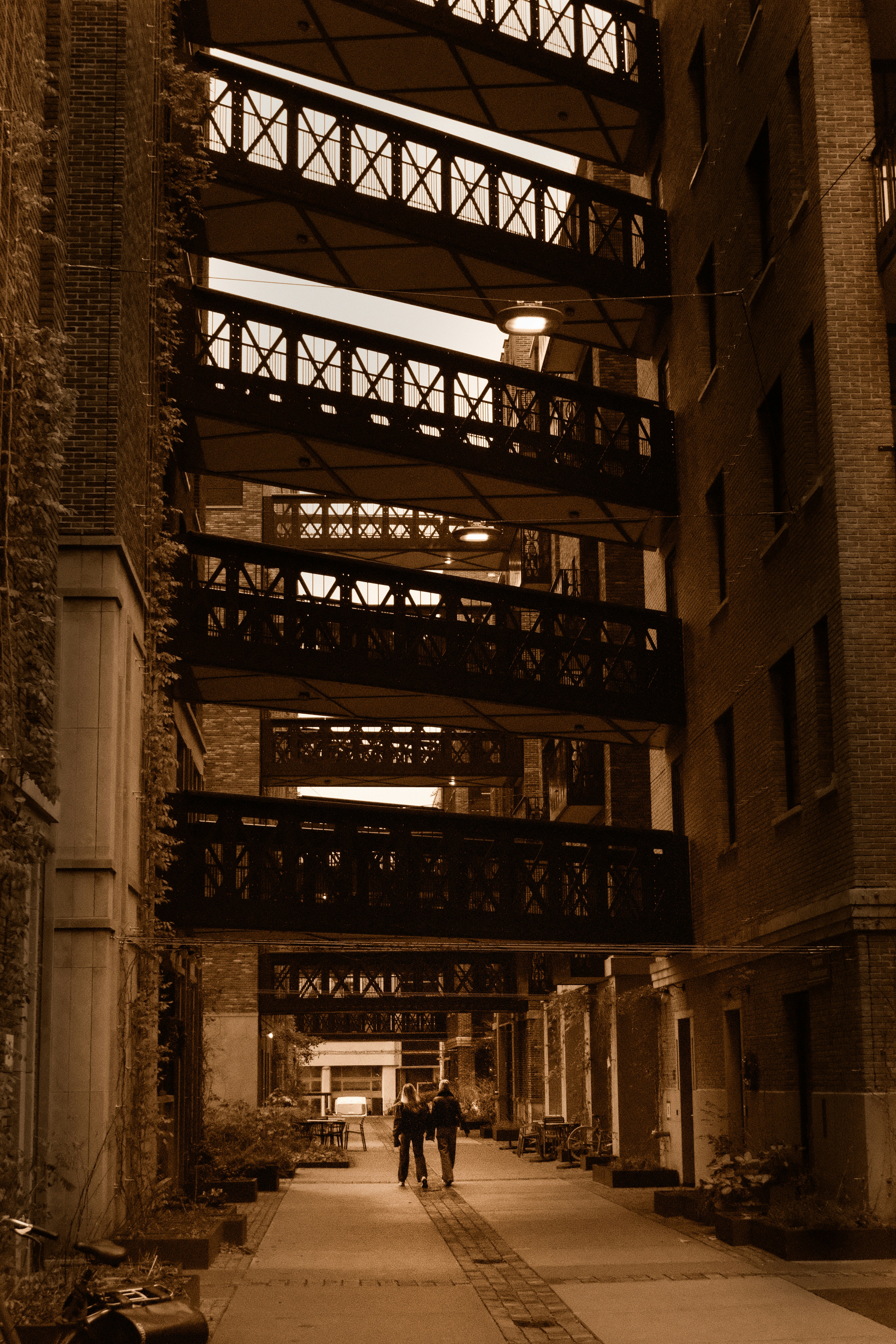 Photo by juniorphoto