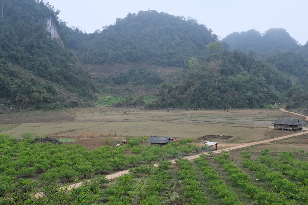 a farm with a dirt road in the middle of it