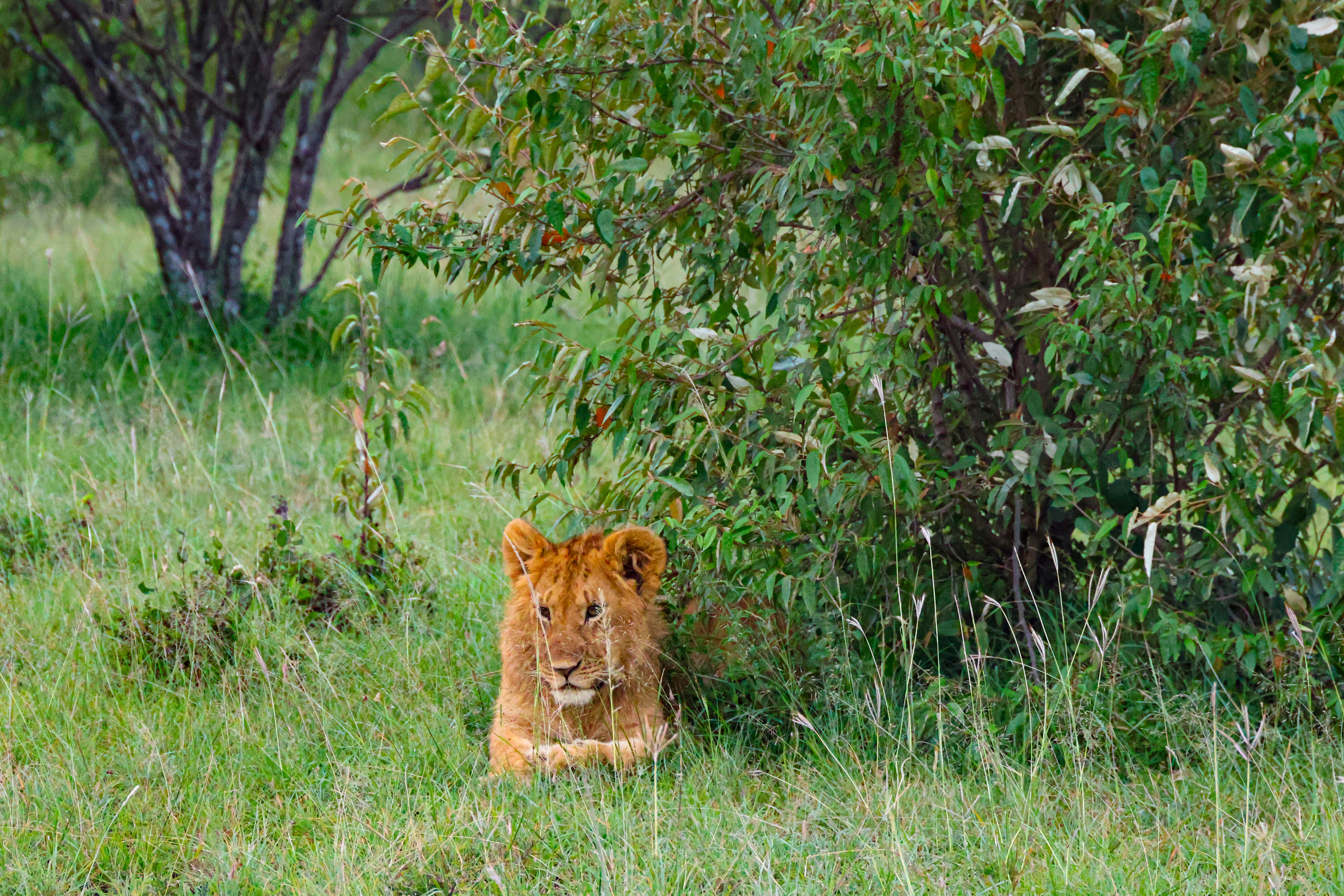 Photo by traveleroohlala