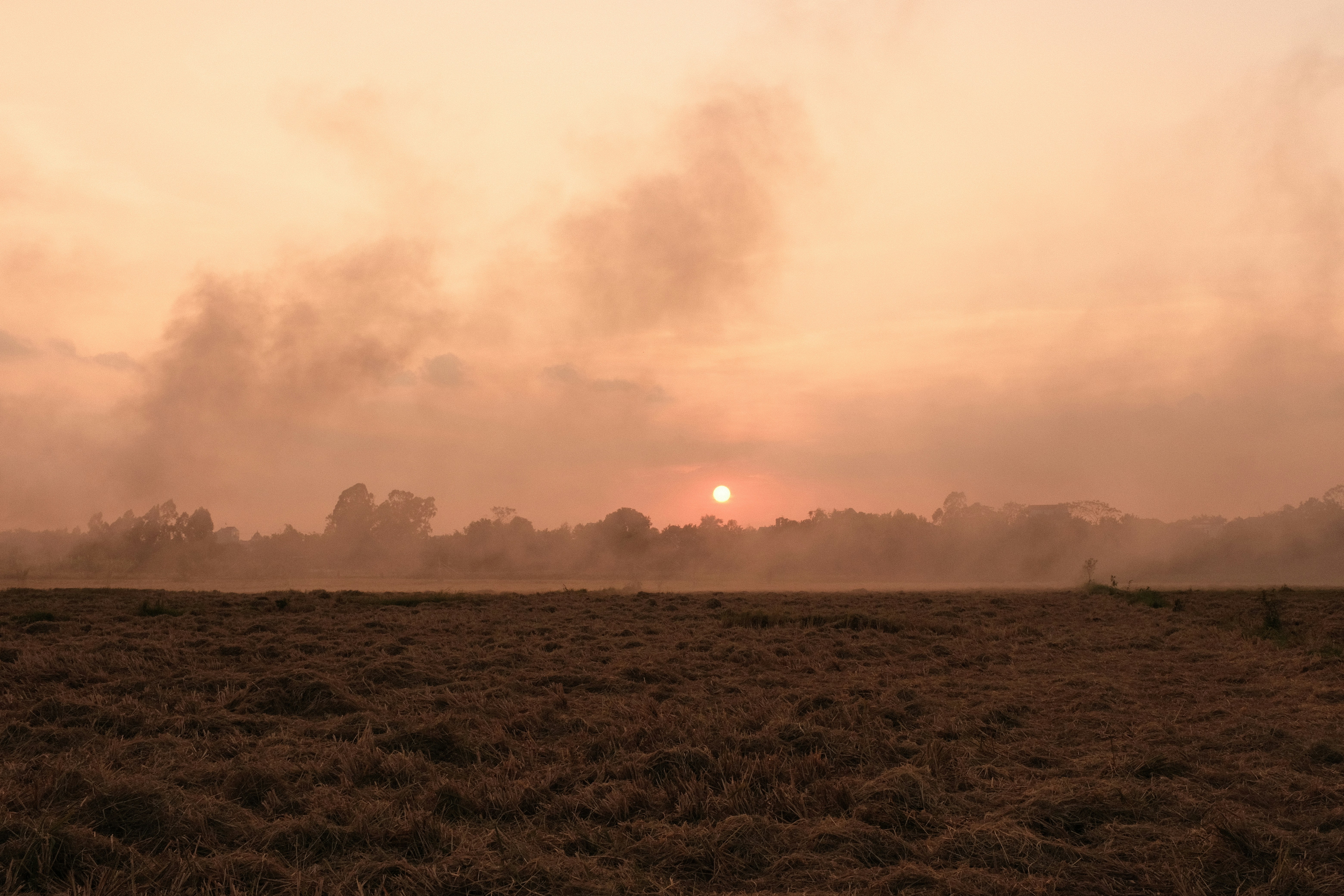 Photo by hoangso8000