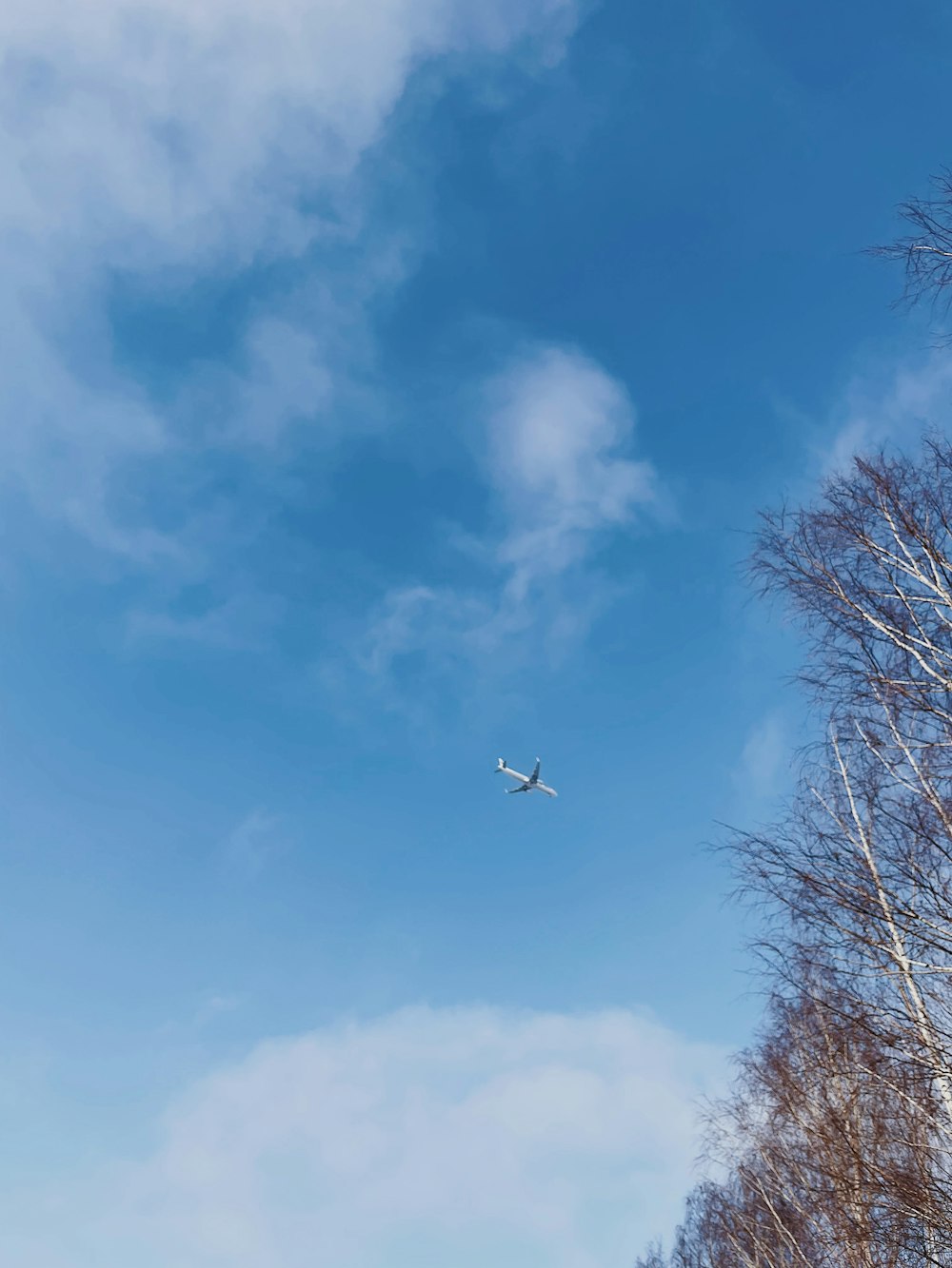 Ein Flugzeug fliegt hoch in den Himmel