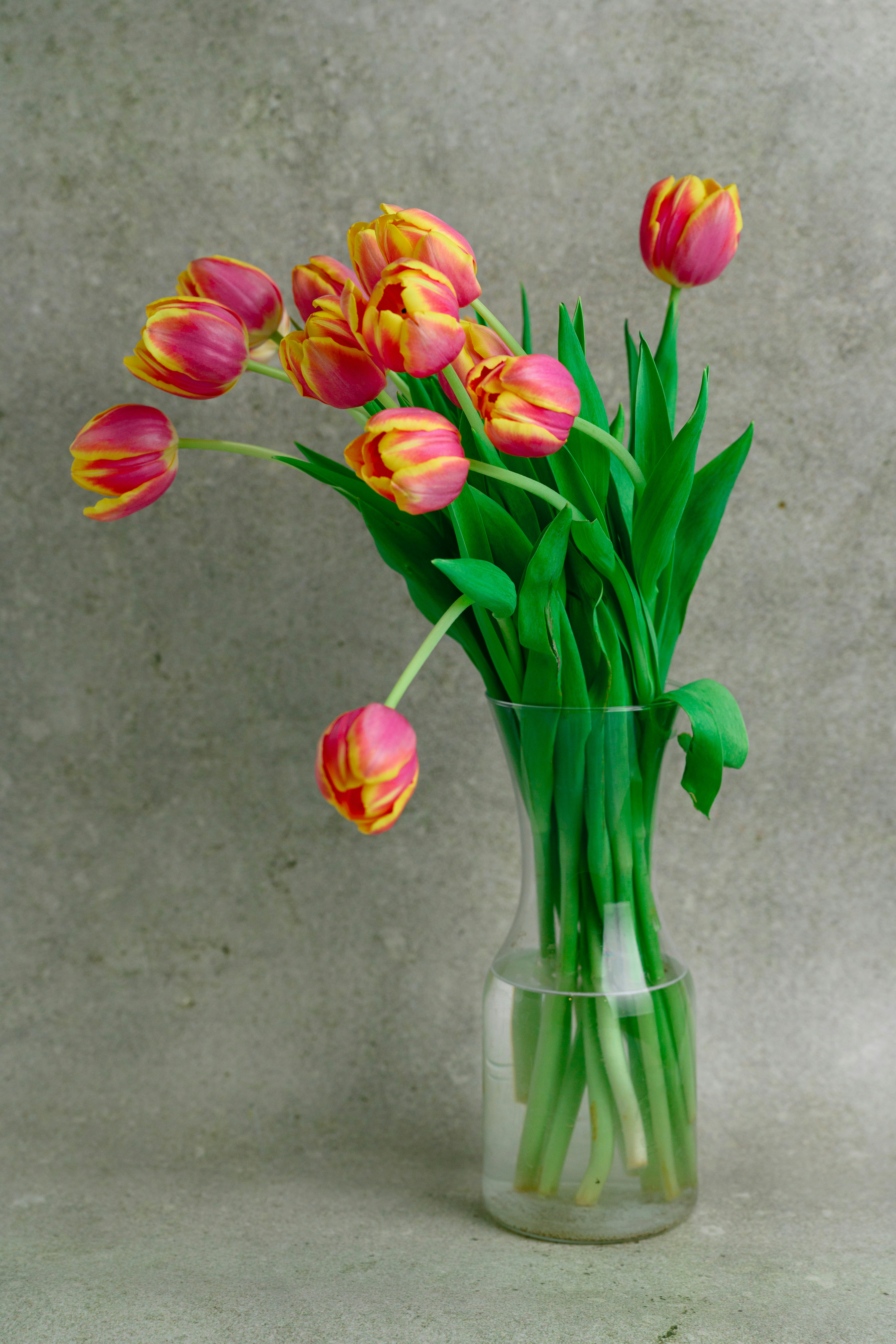 Photo by joanna_stolowicz