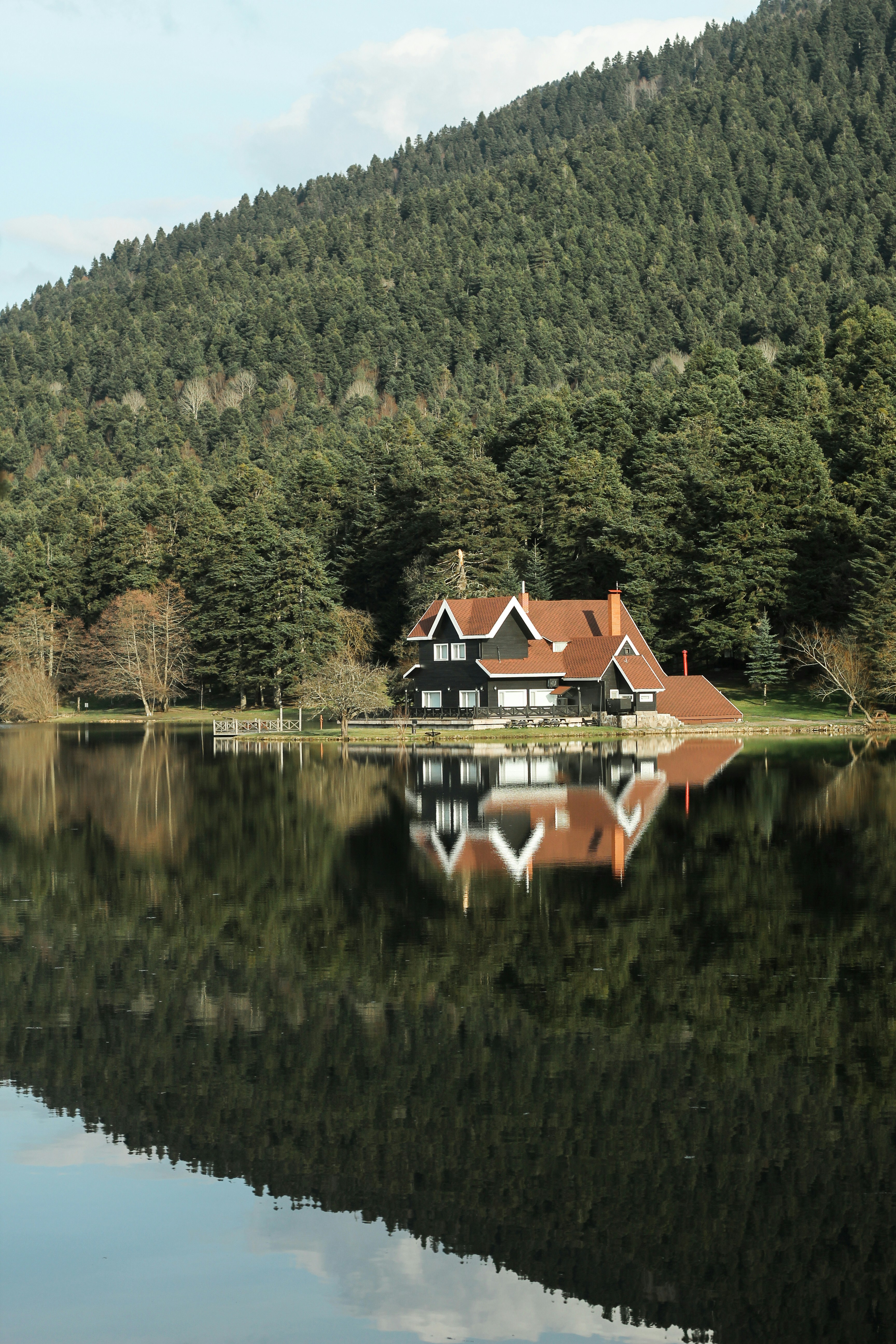 Photo by esrakorkmaz