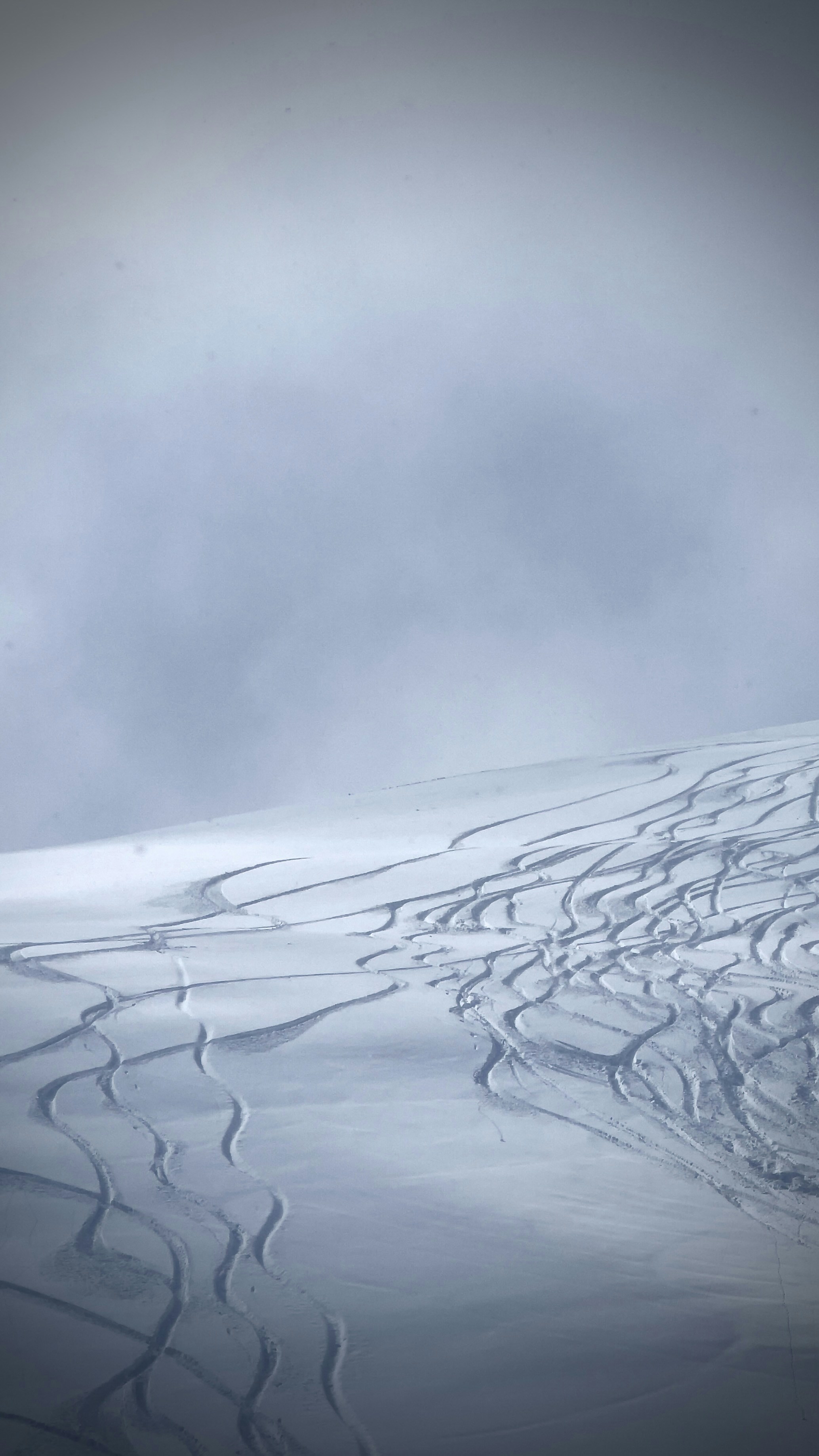 Photo by jevgenijvoronov