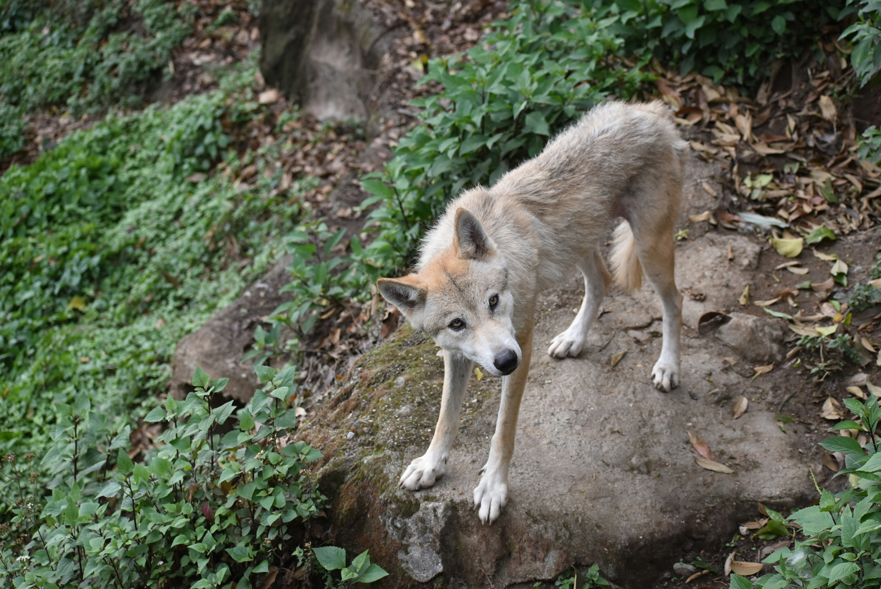 Photo by priyankabrokenheart90