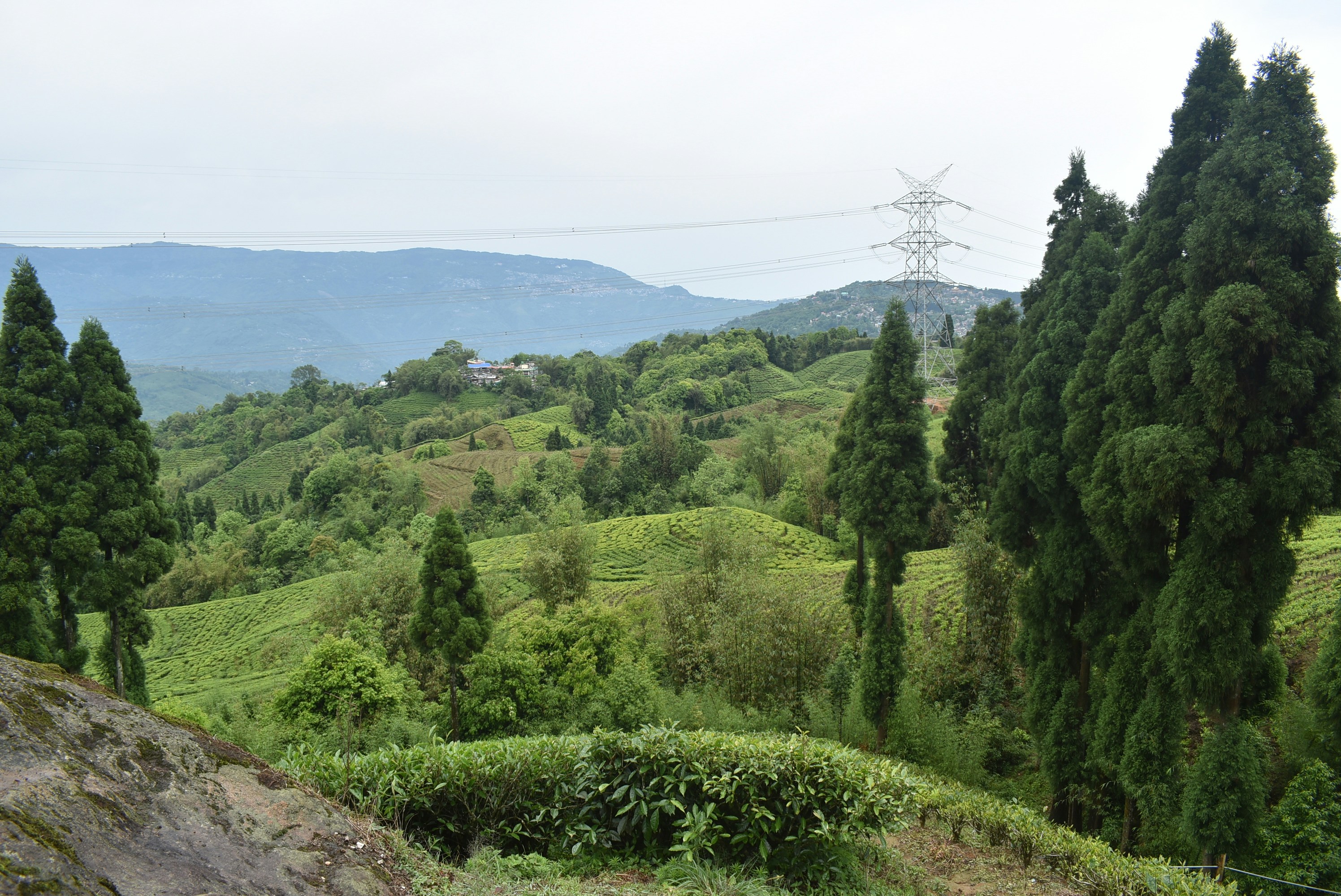 Photo by priyankabrokenheart90