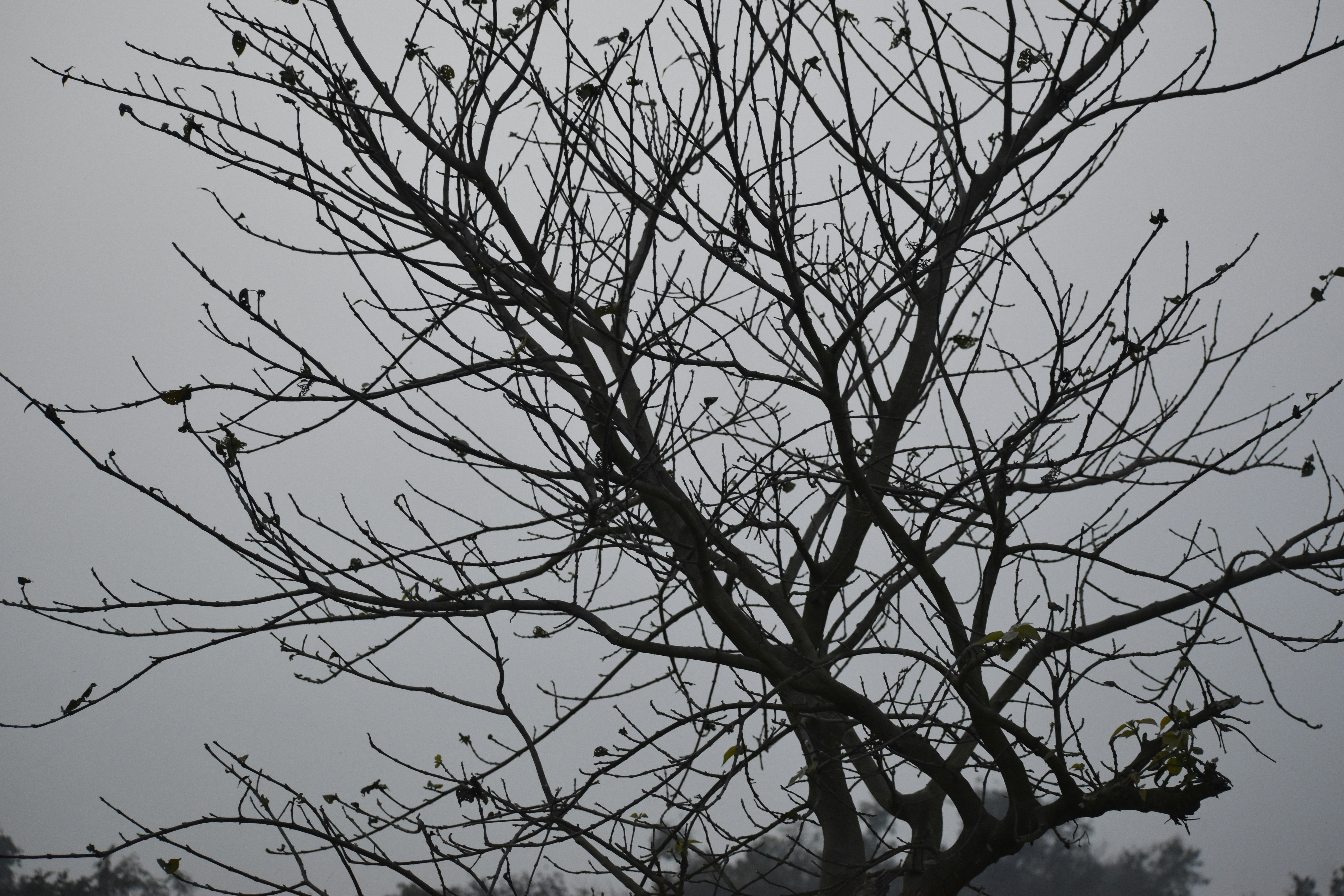 Photo by priyankabrokenheart90