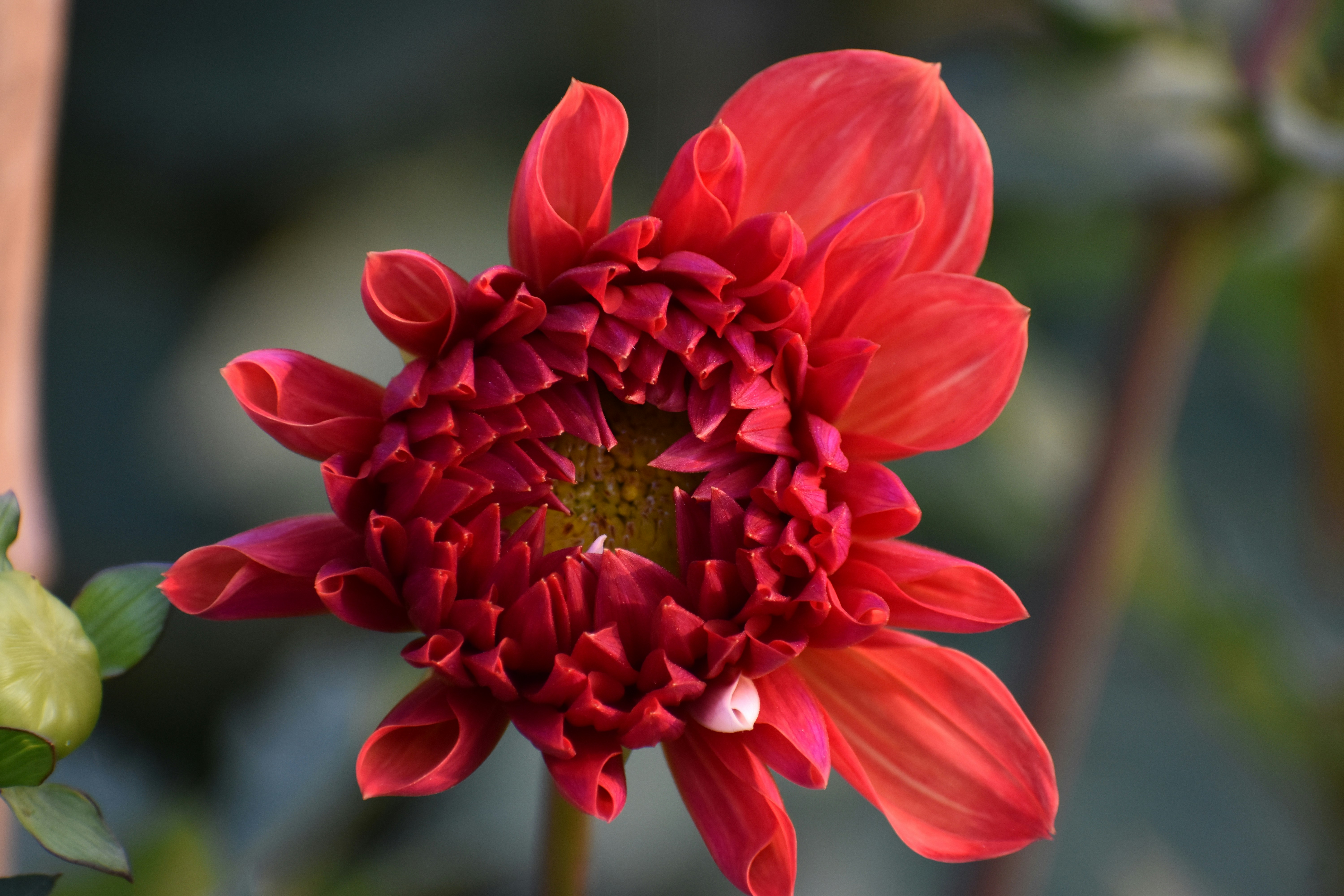 Photo by priyankabrokenheart90