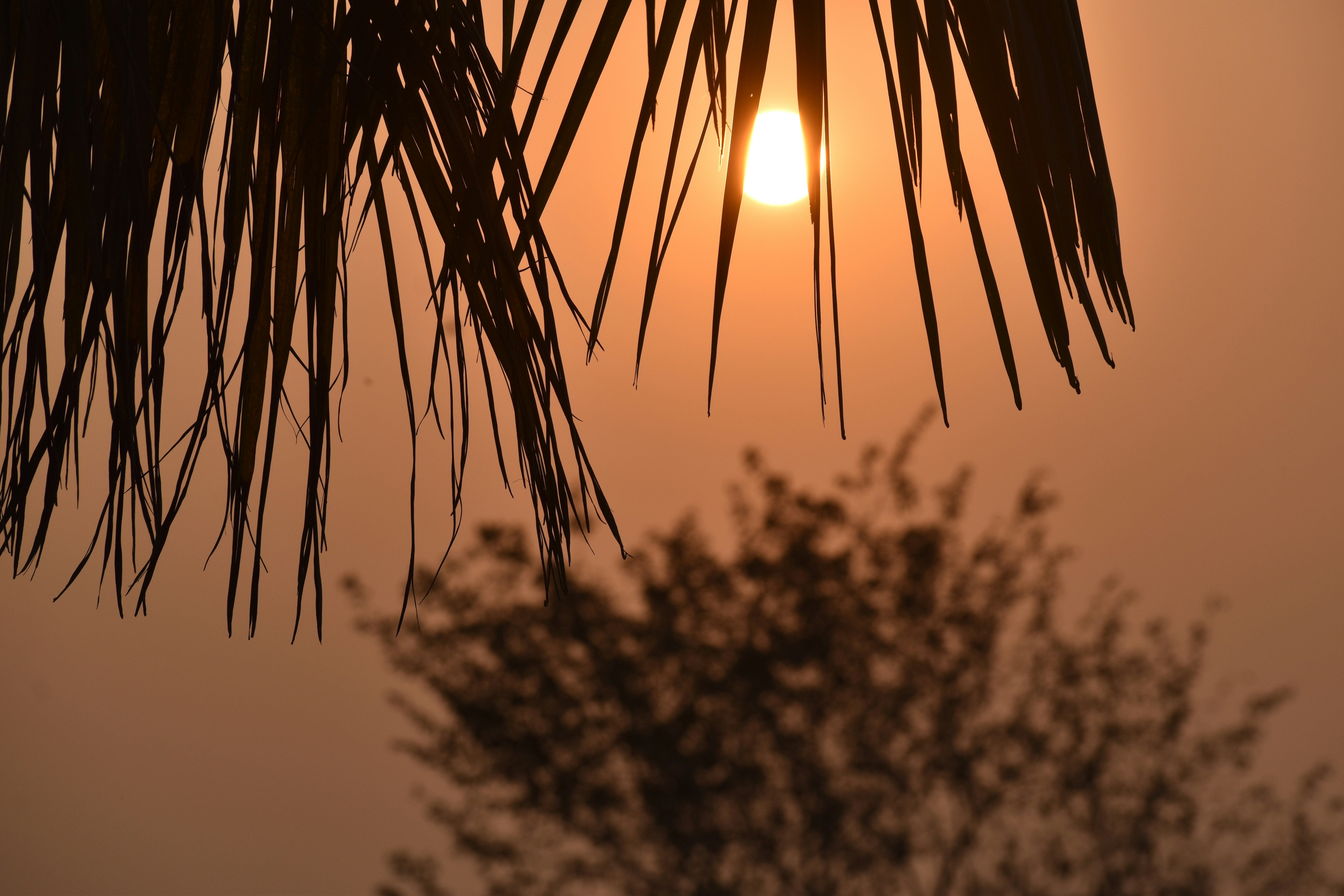 Photo by priyankabrokenheart90