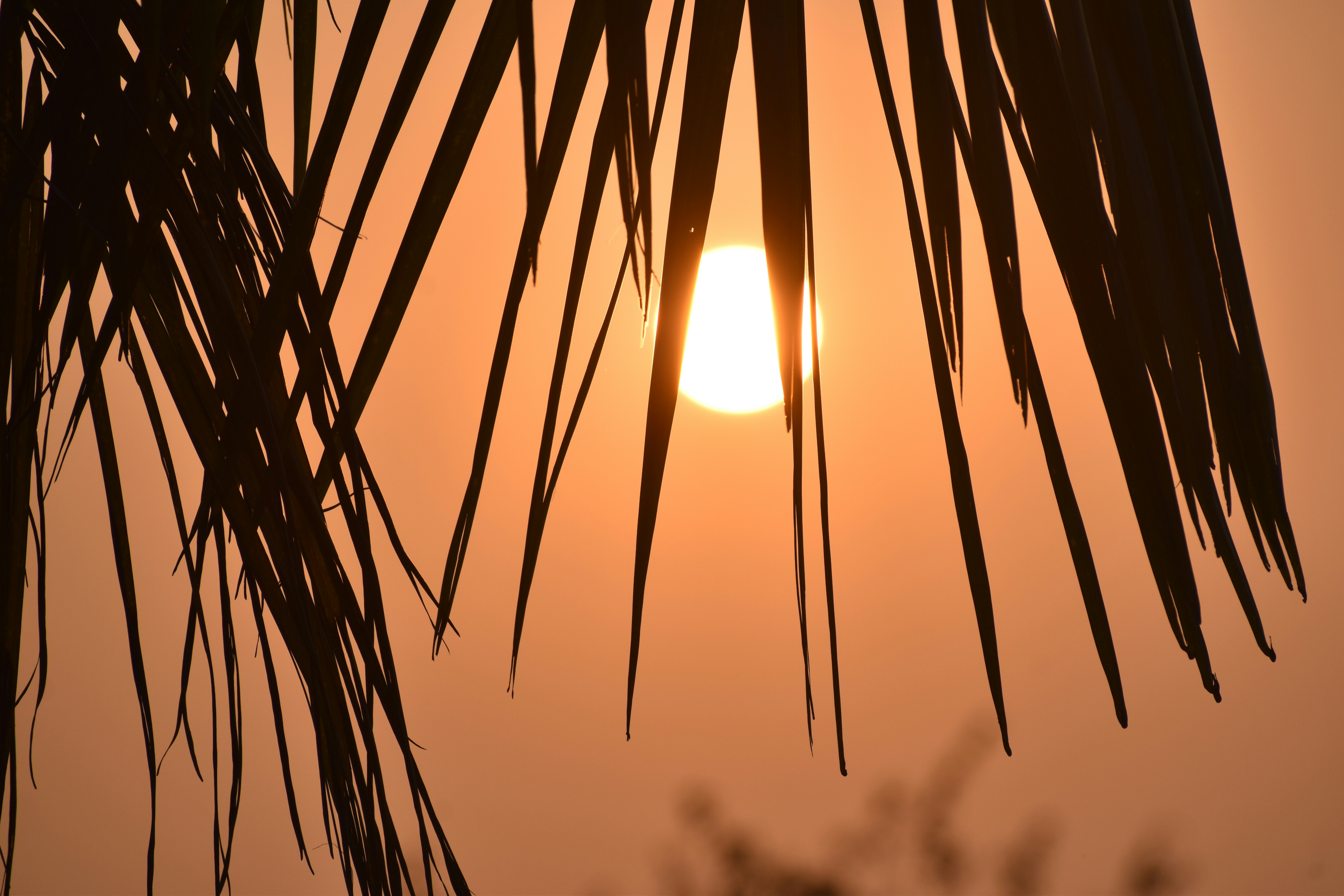 Photo by priyankabrokenheart90