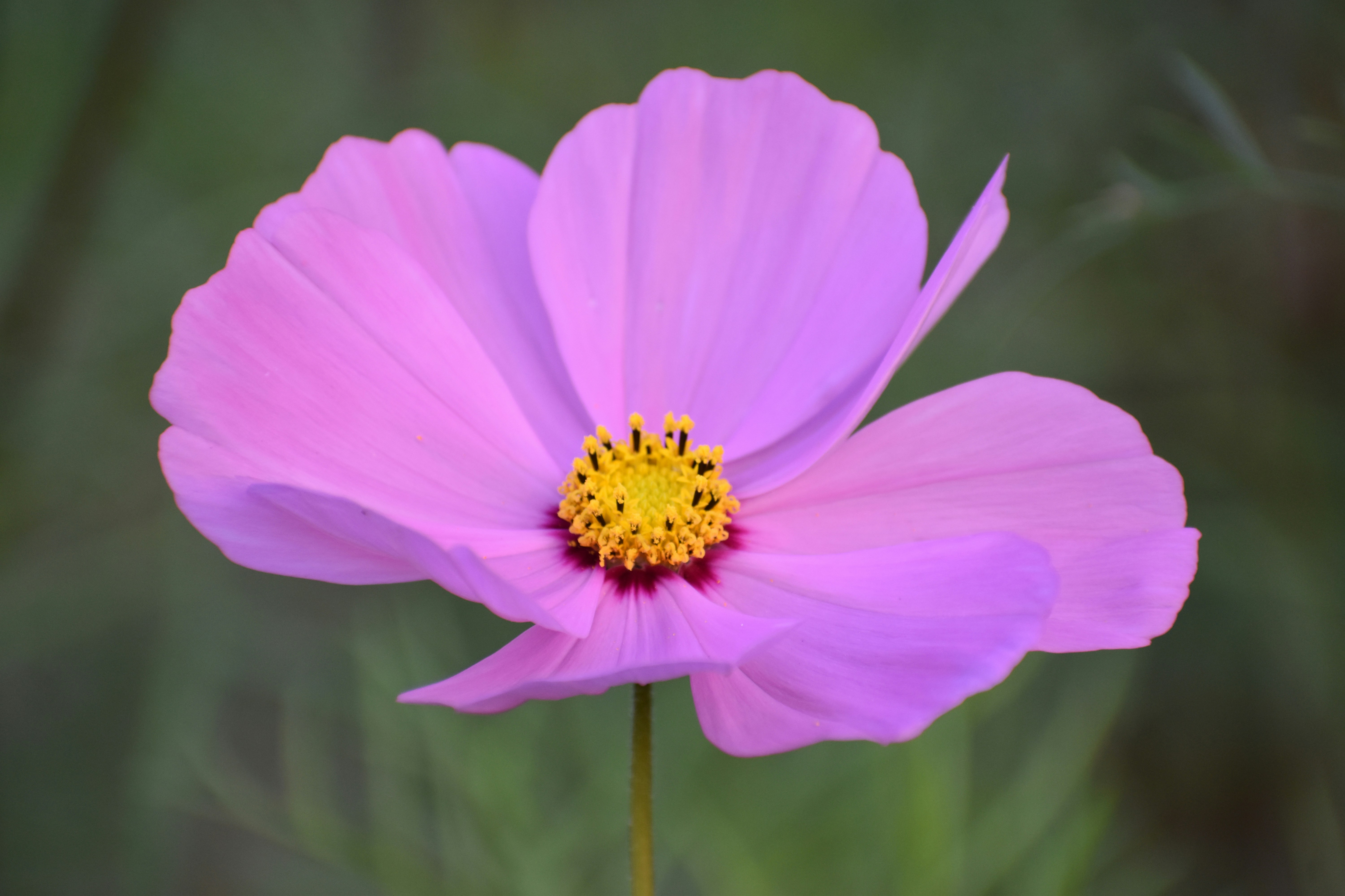 Photo by priyankabrokenheart90