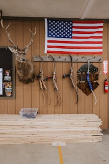 Compound Bows vs. Recurve Bows vs. Crossbows (Learning Curve, Power, and Portability)