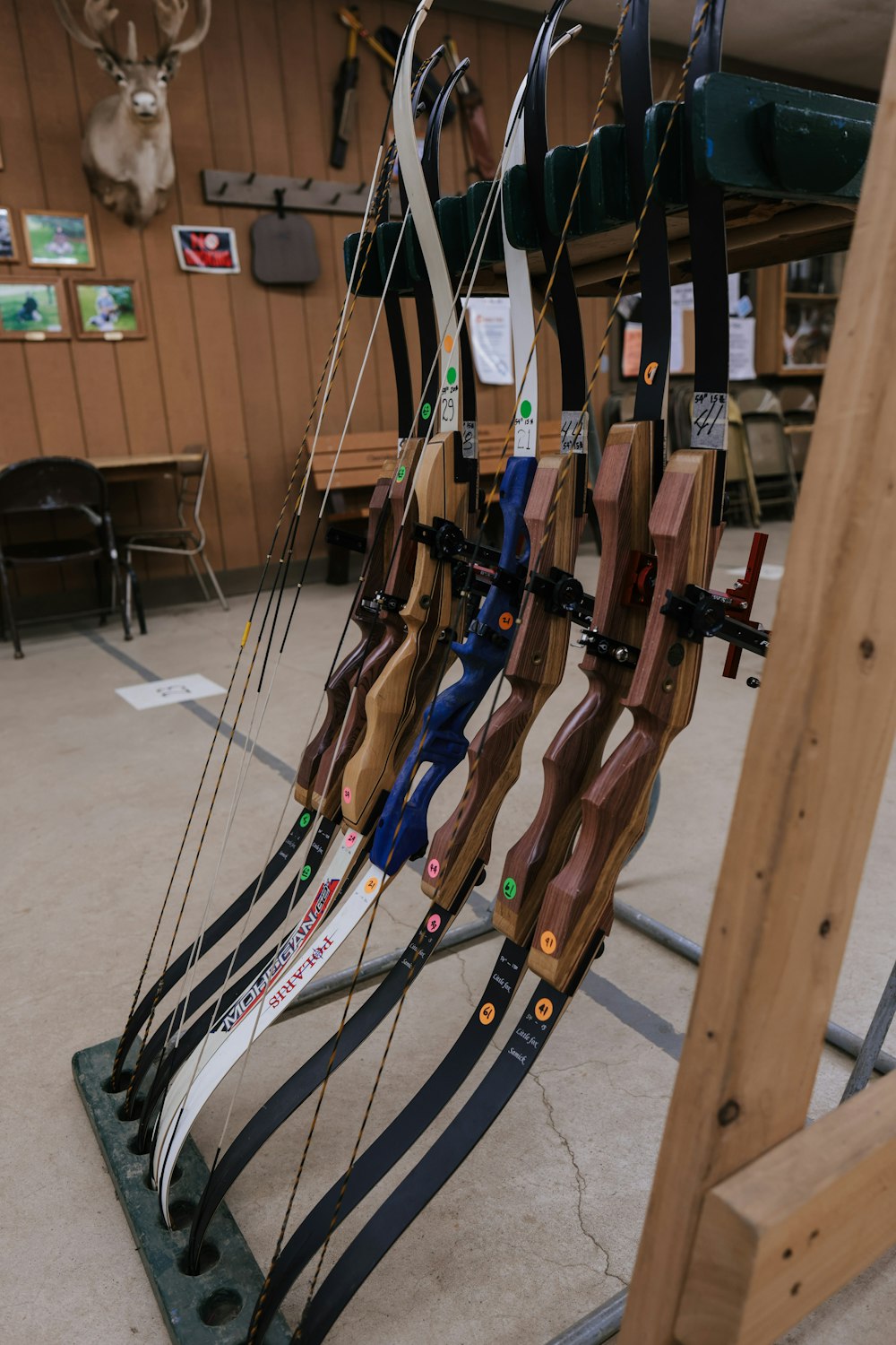 a rack of archery bows in a store