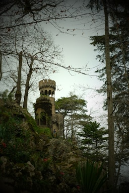 a tower on top of a hill surrounded by trees