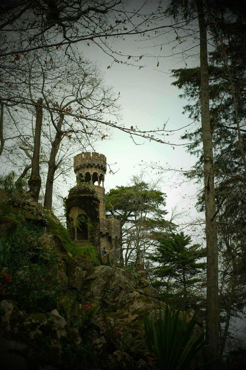 a tower on top of a hill surrounded by trees