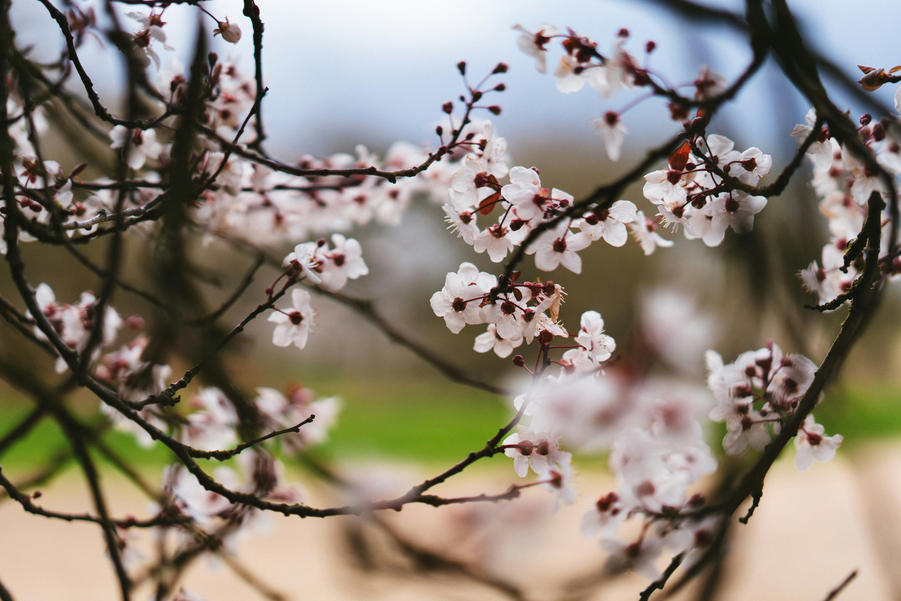 Photo by philhearing