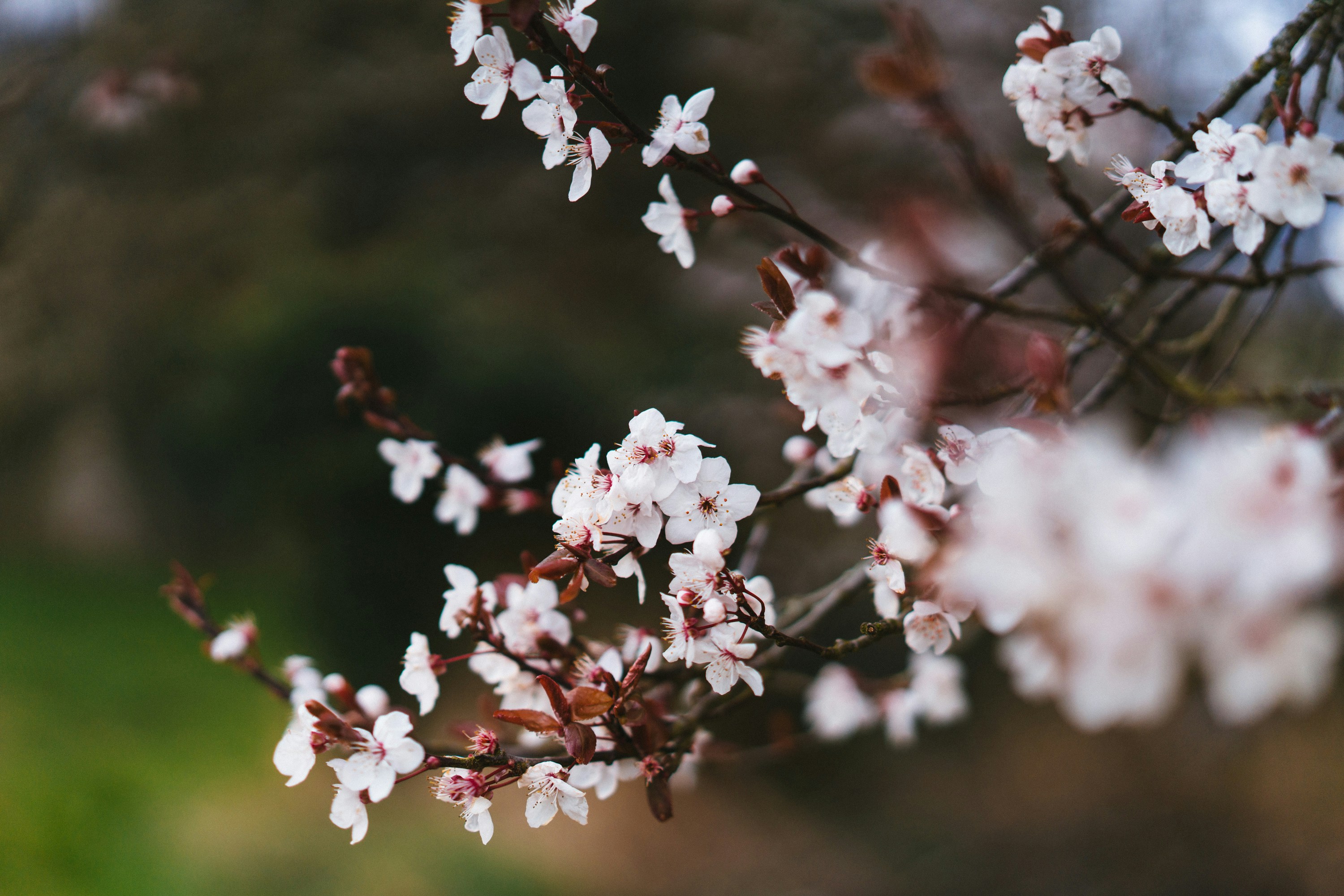 Photo by philhearing