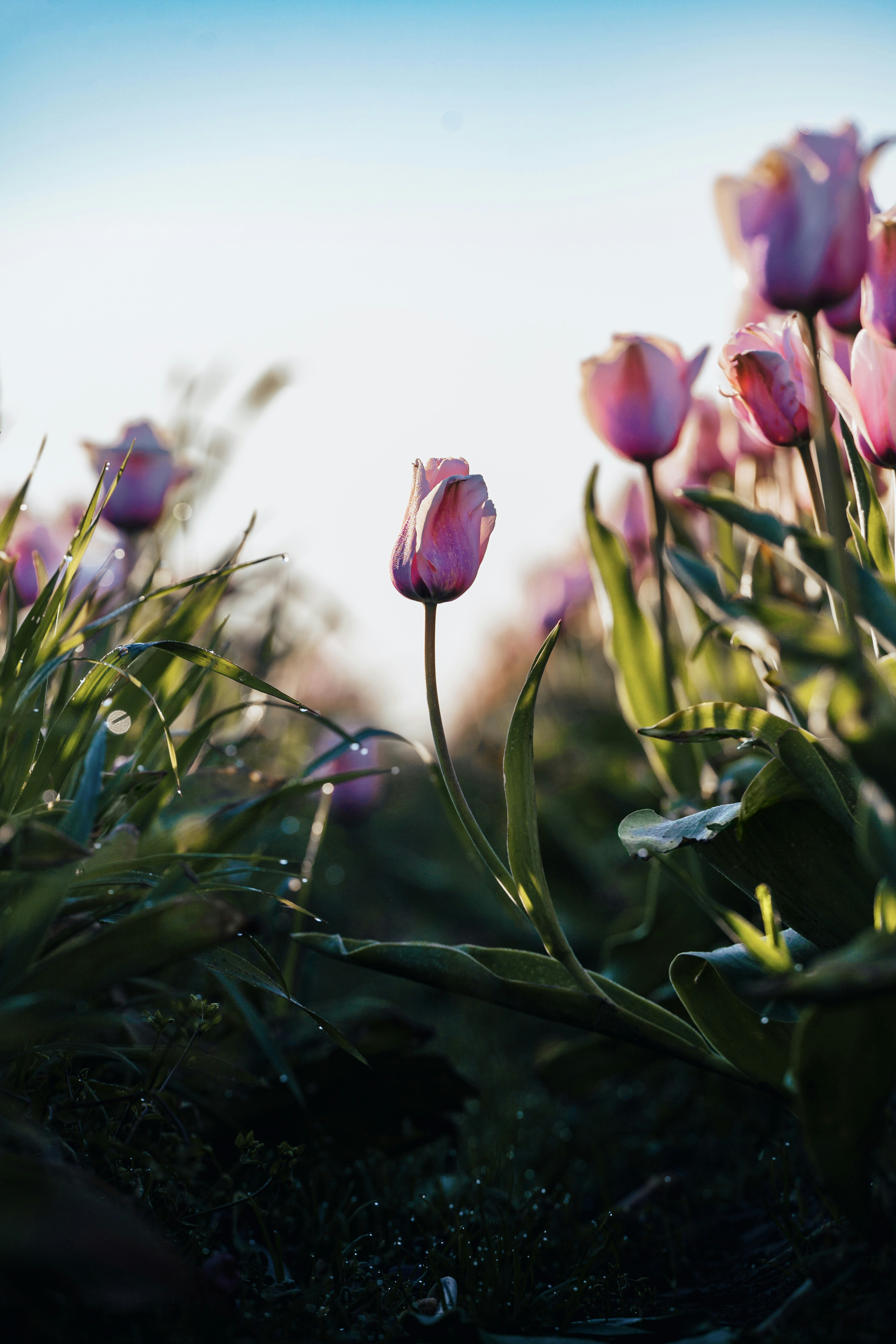 Photo by graddes
