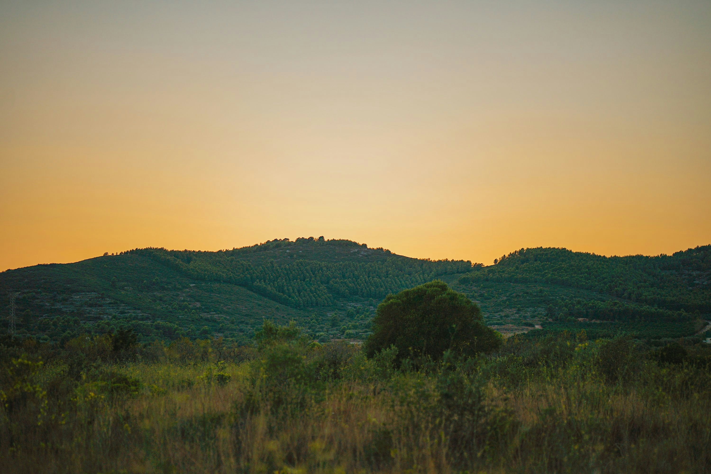 Photo by ambroisenicolao