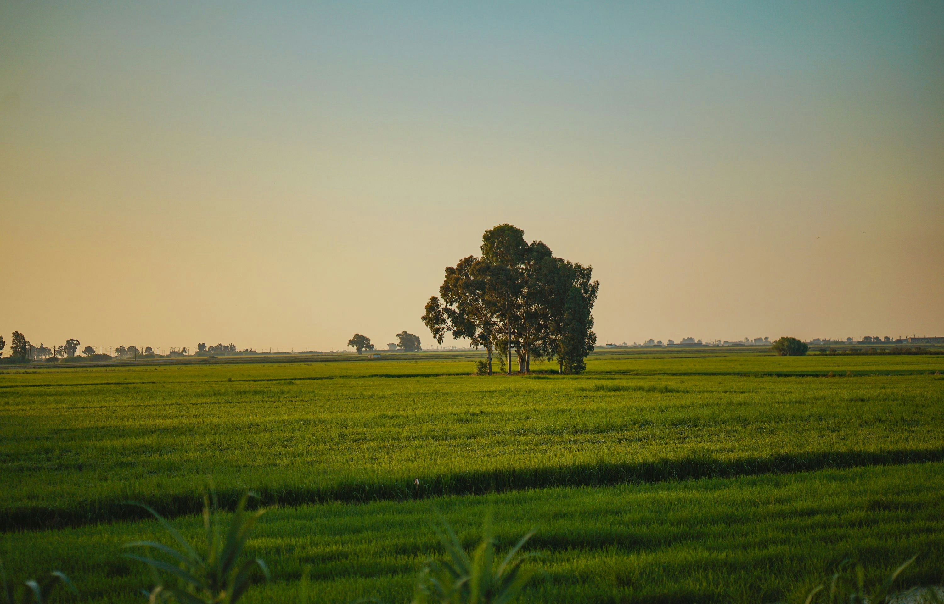 Photo by ambroisenicolao