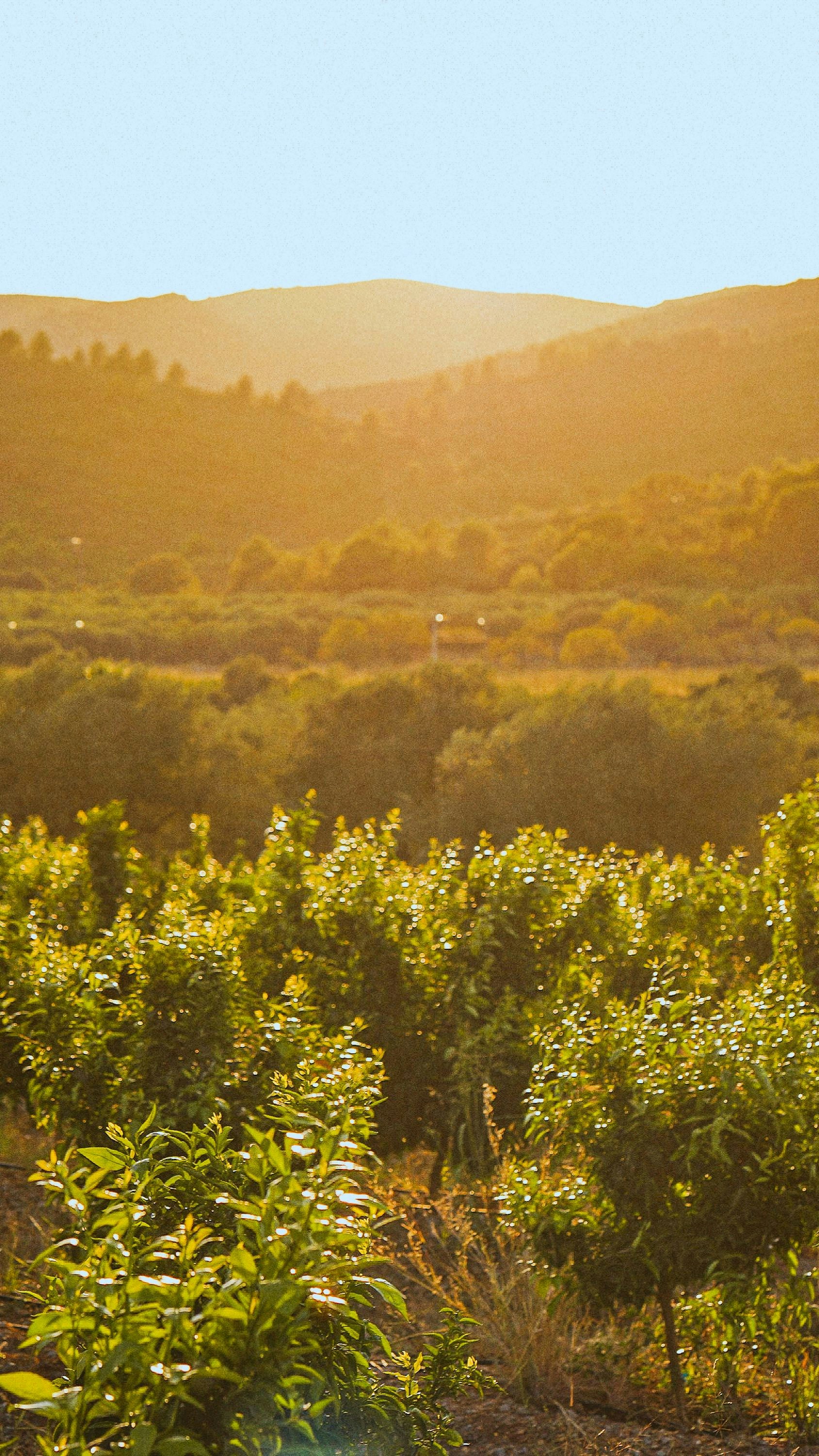 Photo by ambroisenicolao