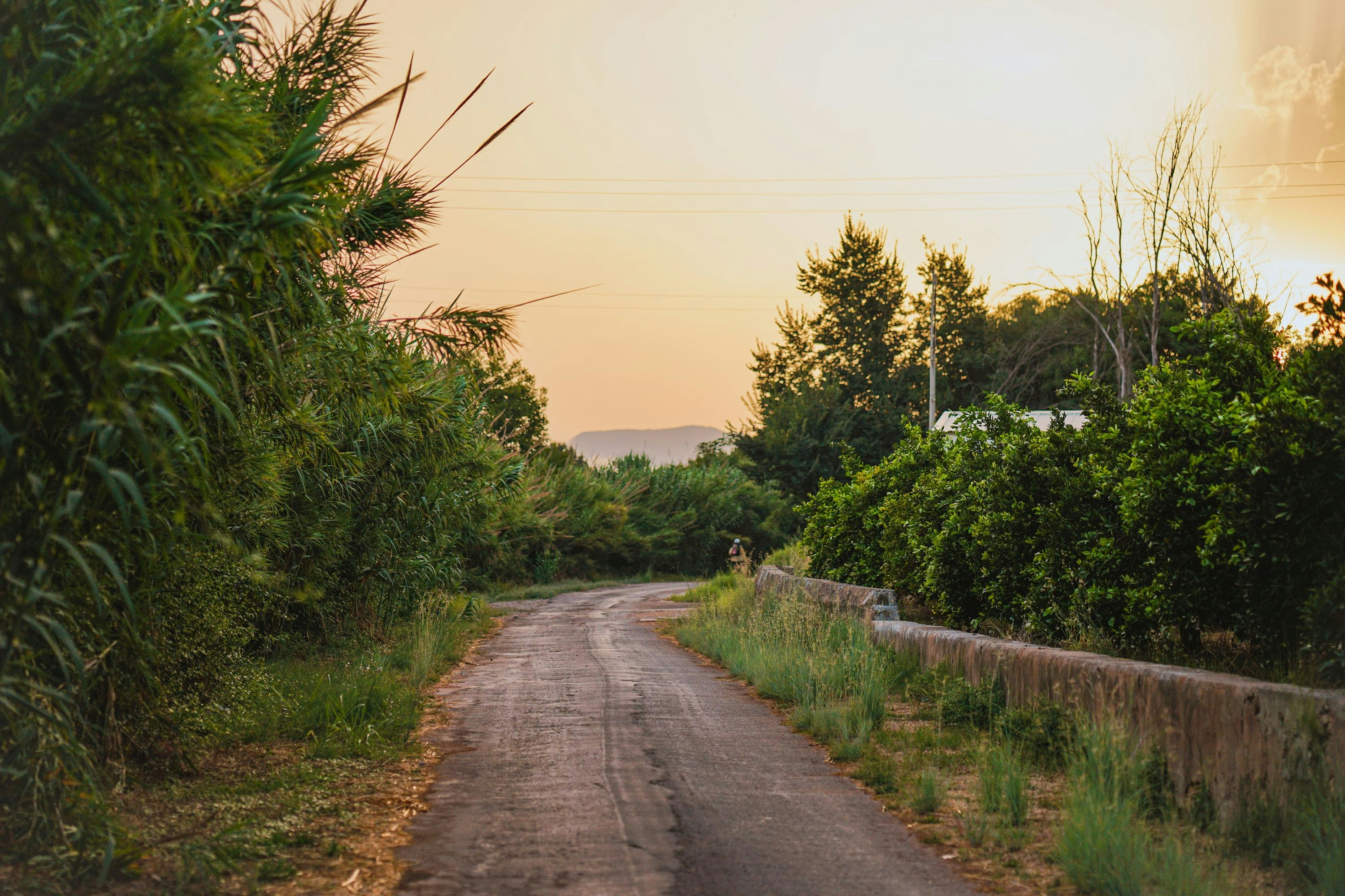 Photo by ambroisenicolao