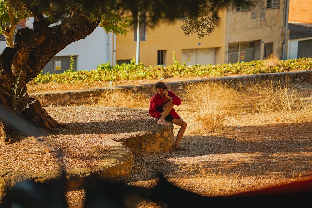 a person sitting on a rock near a tree