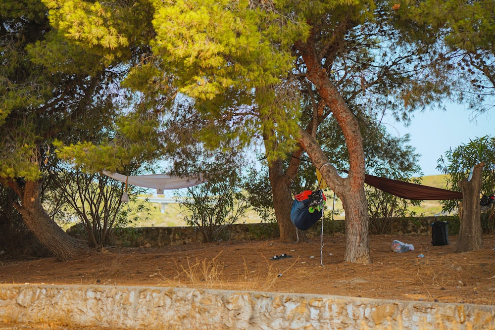 a man laying in a hammock between two trees