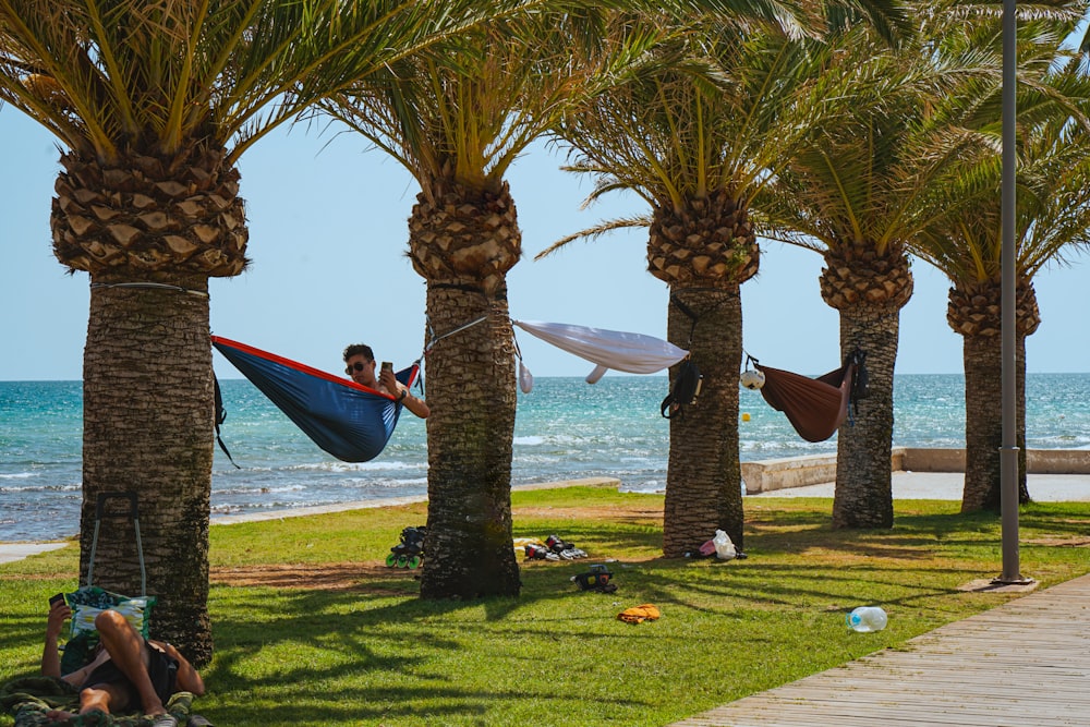 a man laying in a hammock between two palm trees