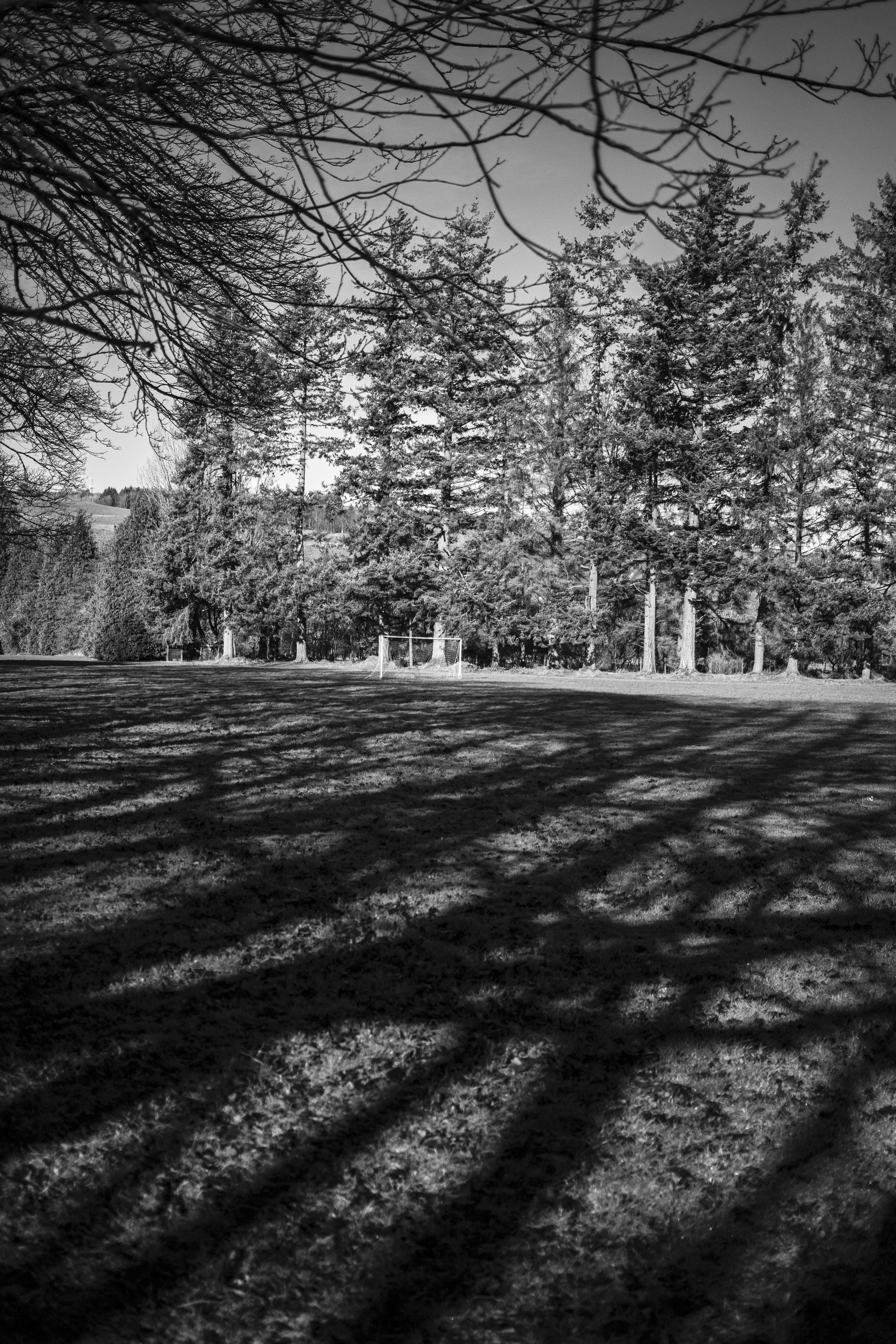 Photo by jcosens