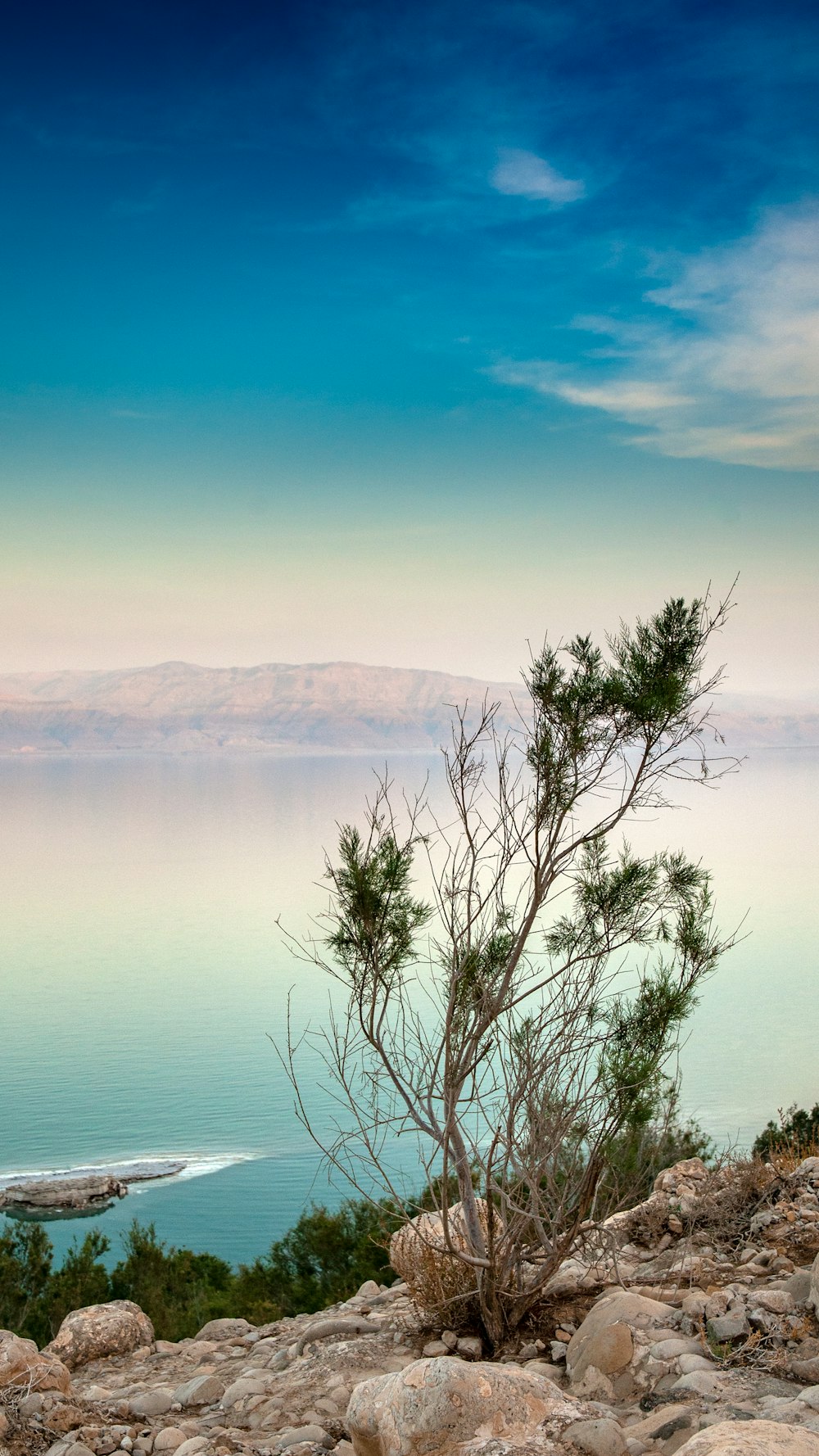 a lone tree on top of a rocky hill