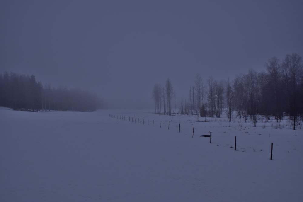 a snow covered field with trees in the distance