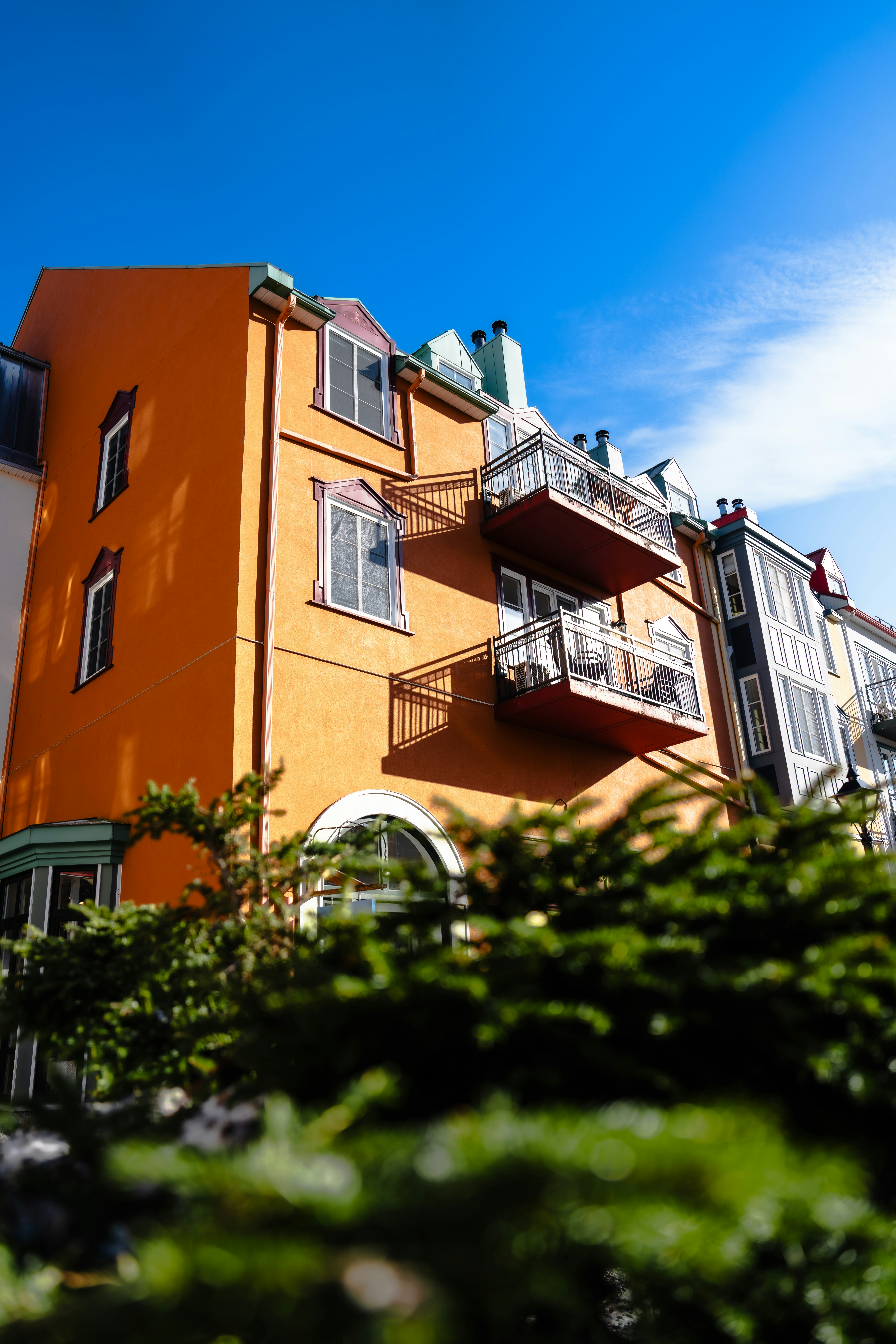 Photo by damiankravchuk