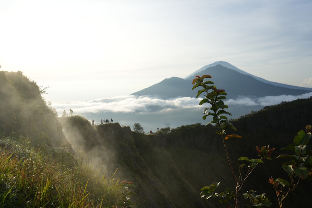 a view of a mountain covered in fog