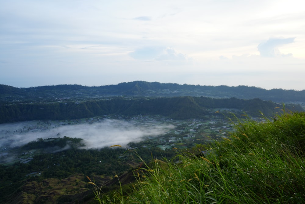 a lush green hillside covered in fog and clouds