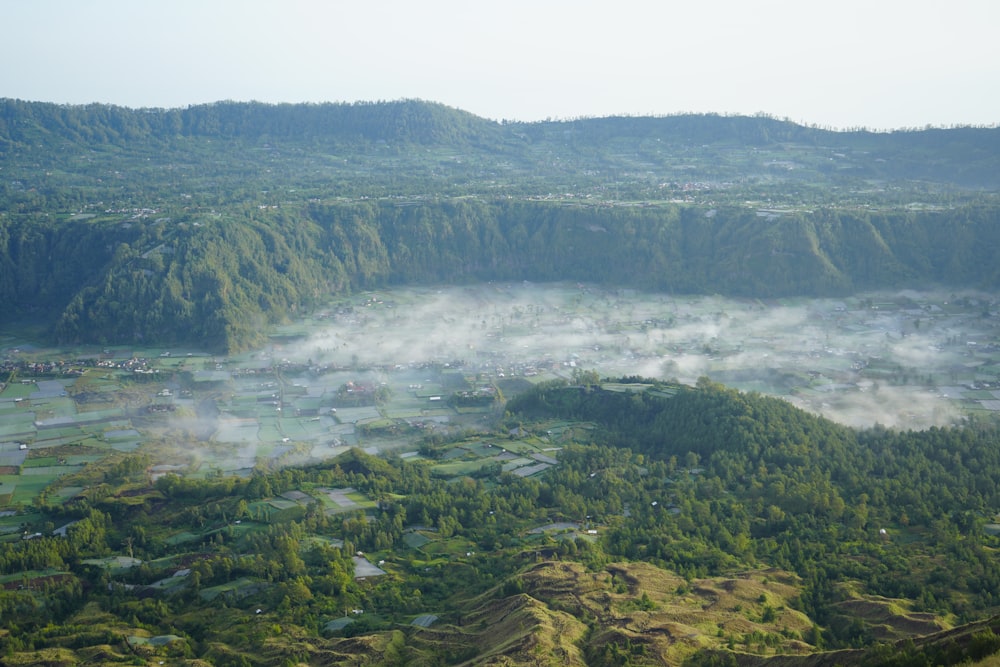 a view of a valley with a lot of trees