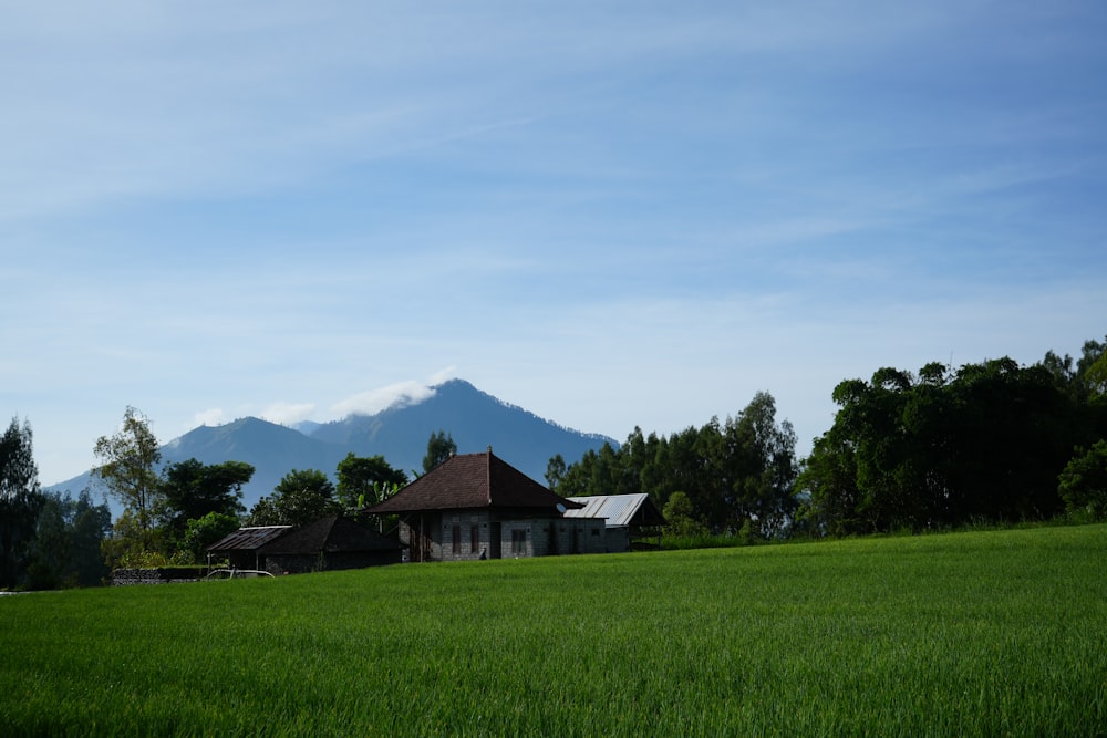 a house in a field with a mountain in the background