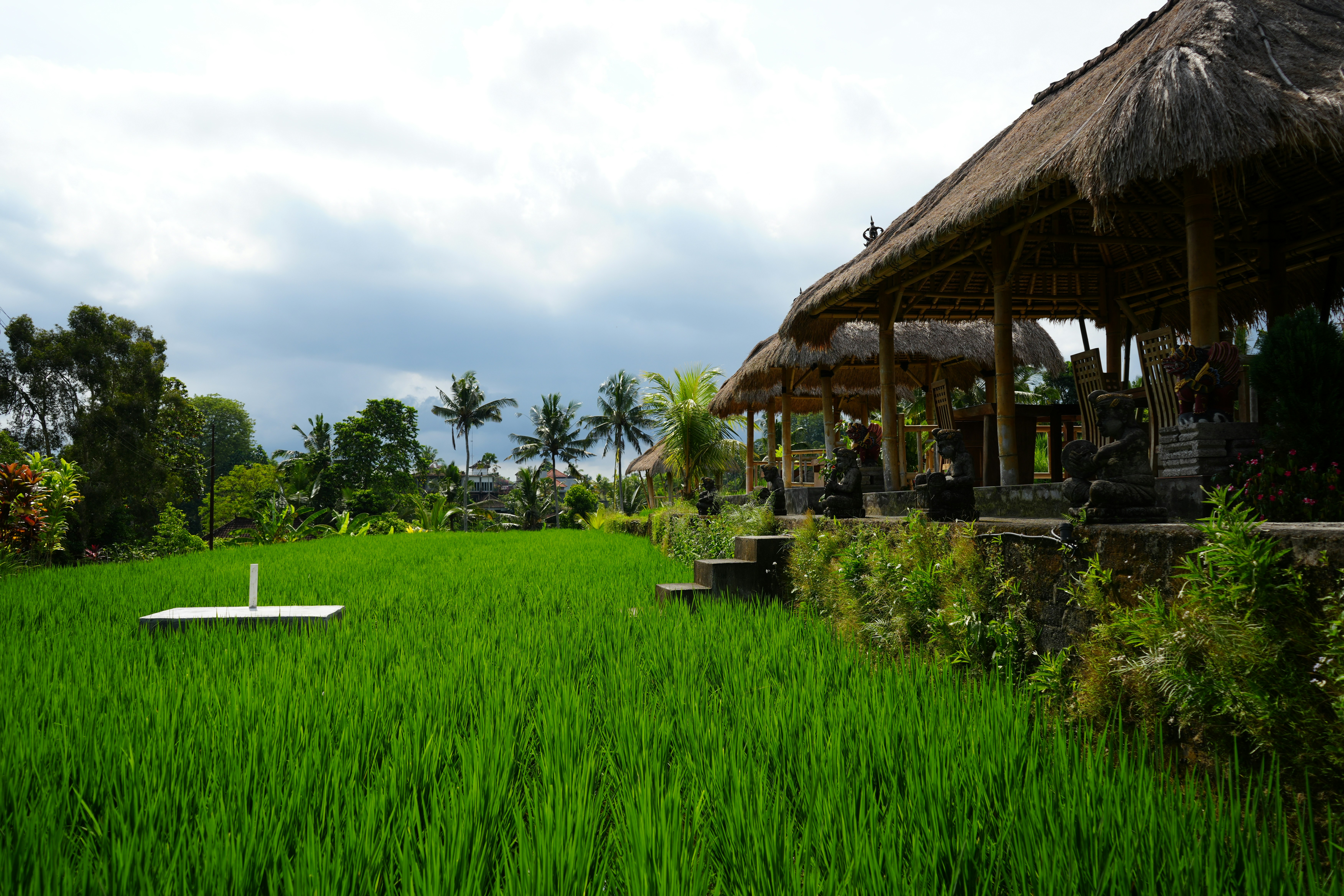 Photo by giancarlo_zi