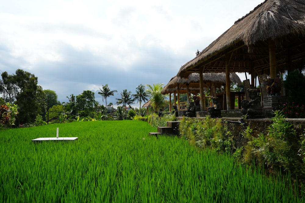 a lush green field with a thatched roof