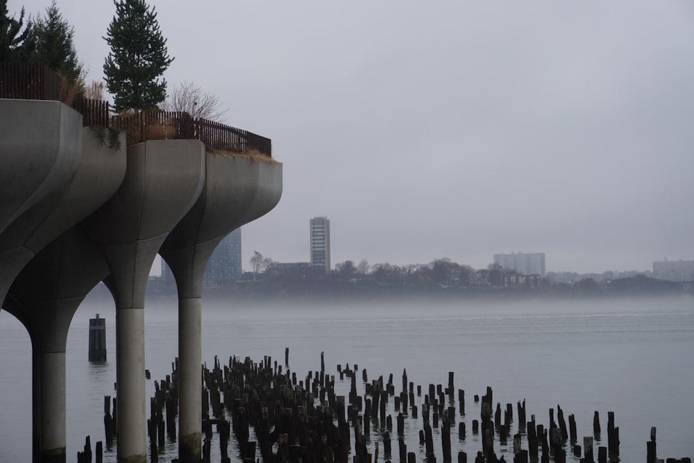 a body of water with a bunch of poles sticking out of it